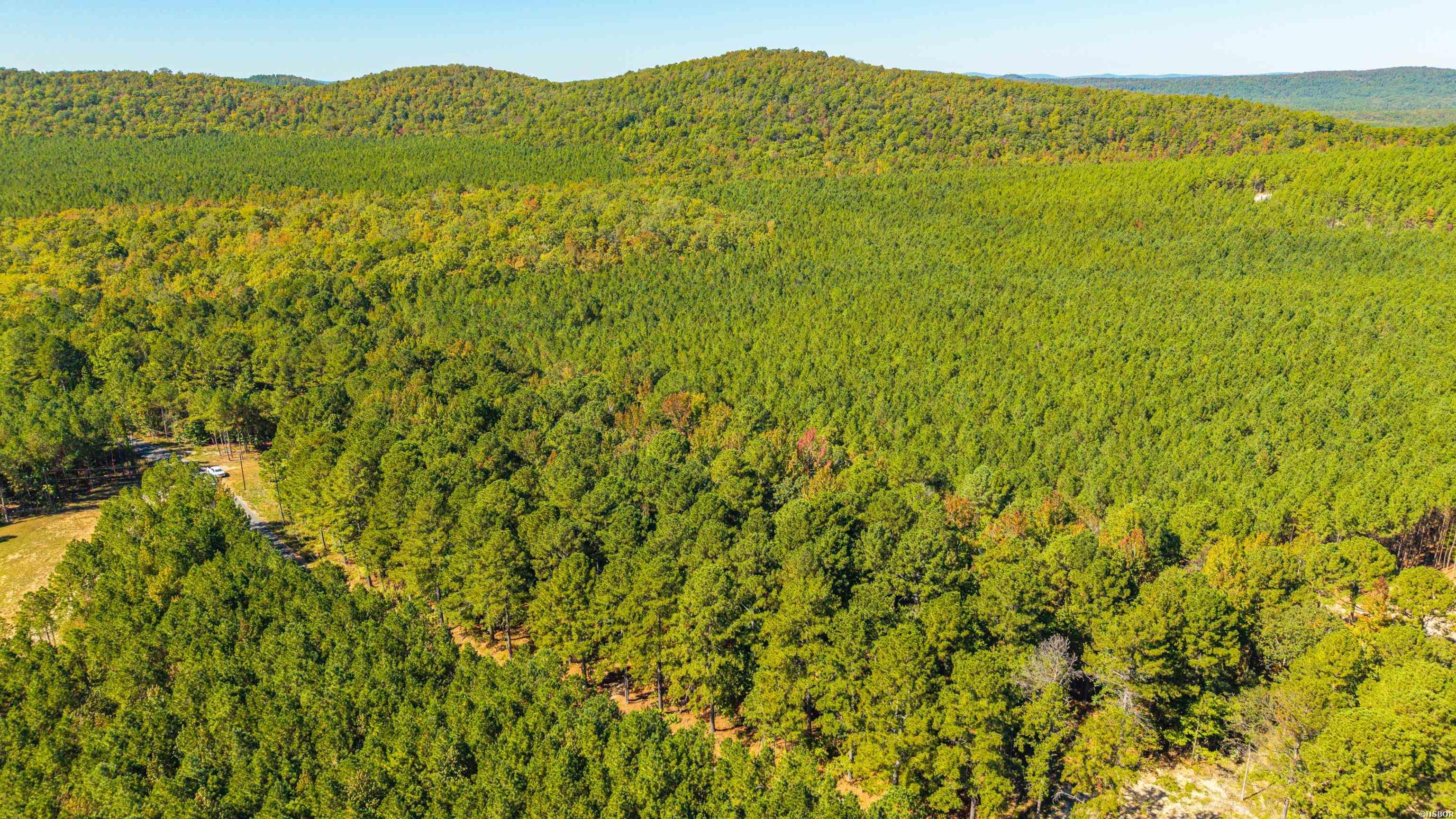 002 Stihl Road Property Photo 13