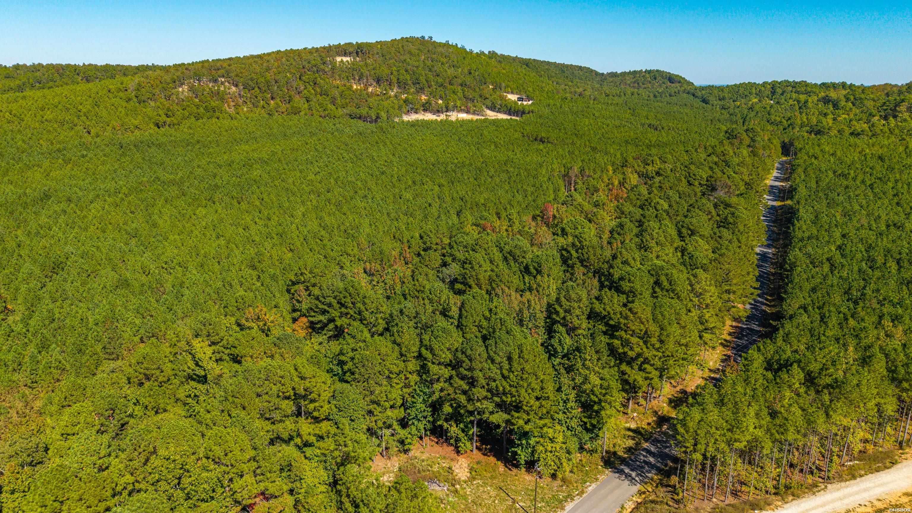 002 Stihl Road Property Photo 14