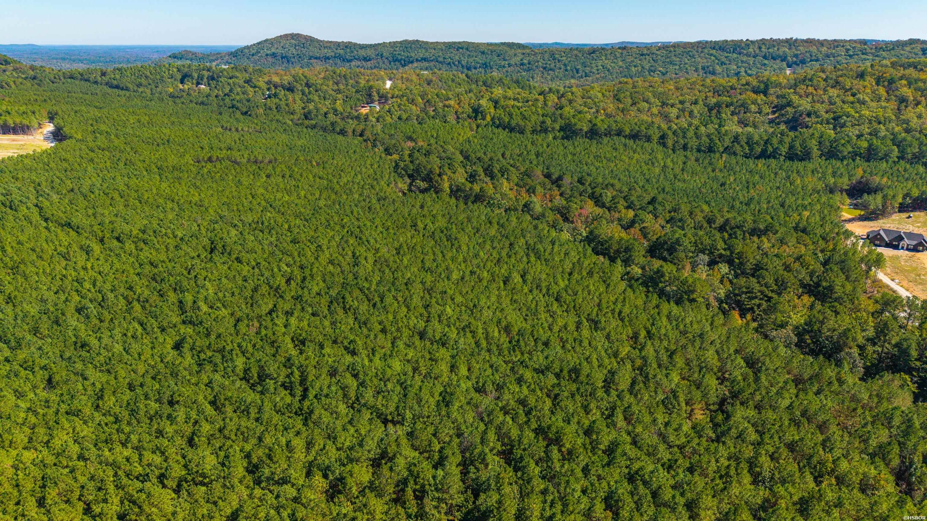 002 Stihl Road Property Photo 15