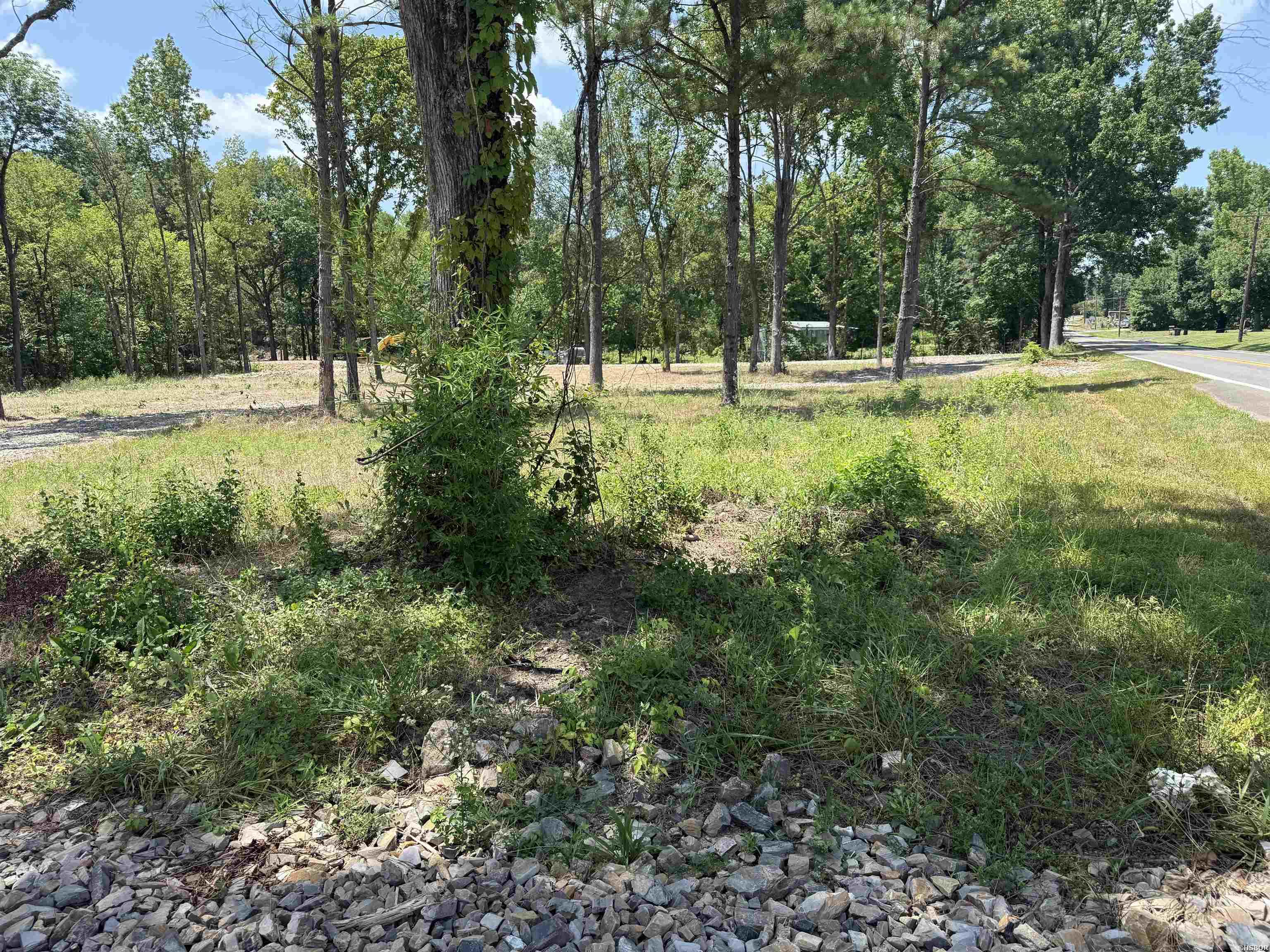 00 Mountain Pine Property Photo 3