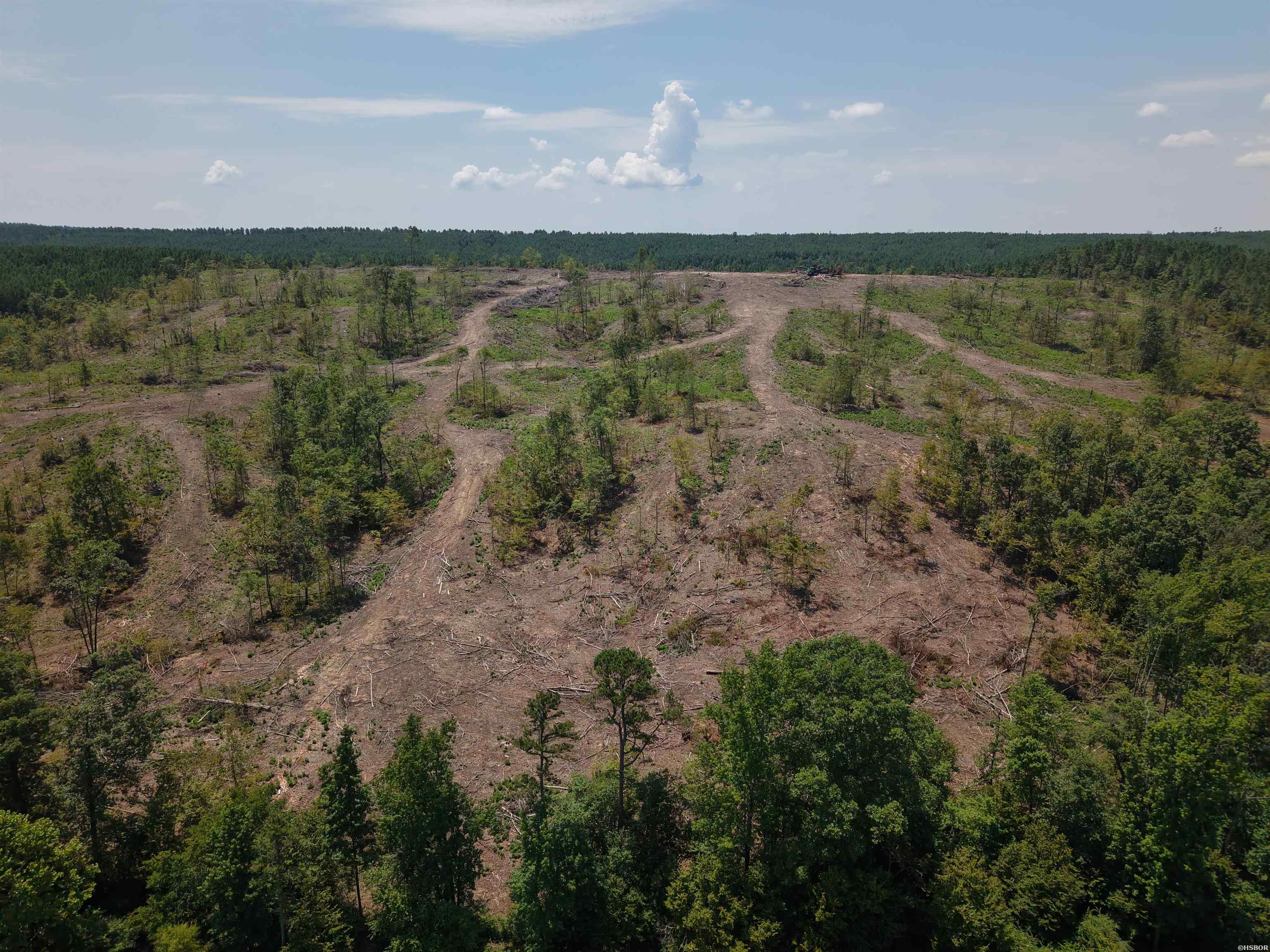 40 Acres W376 Property Photo 3