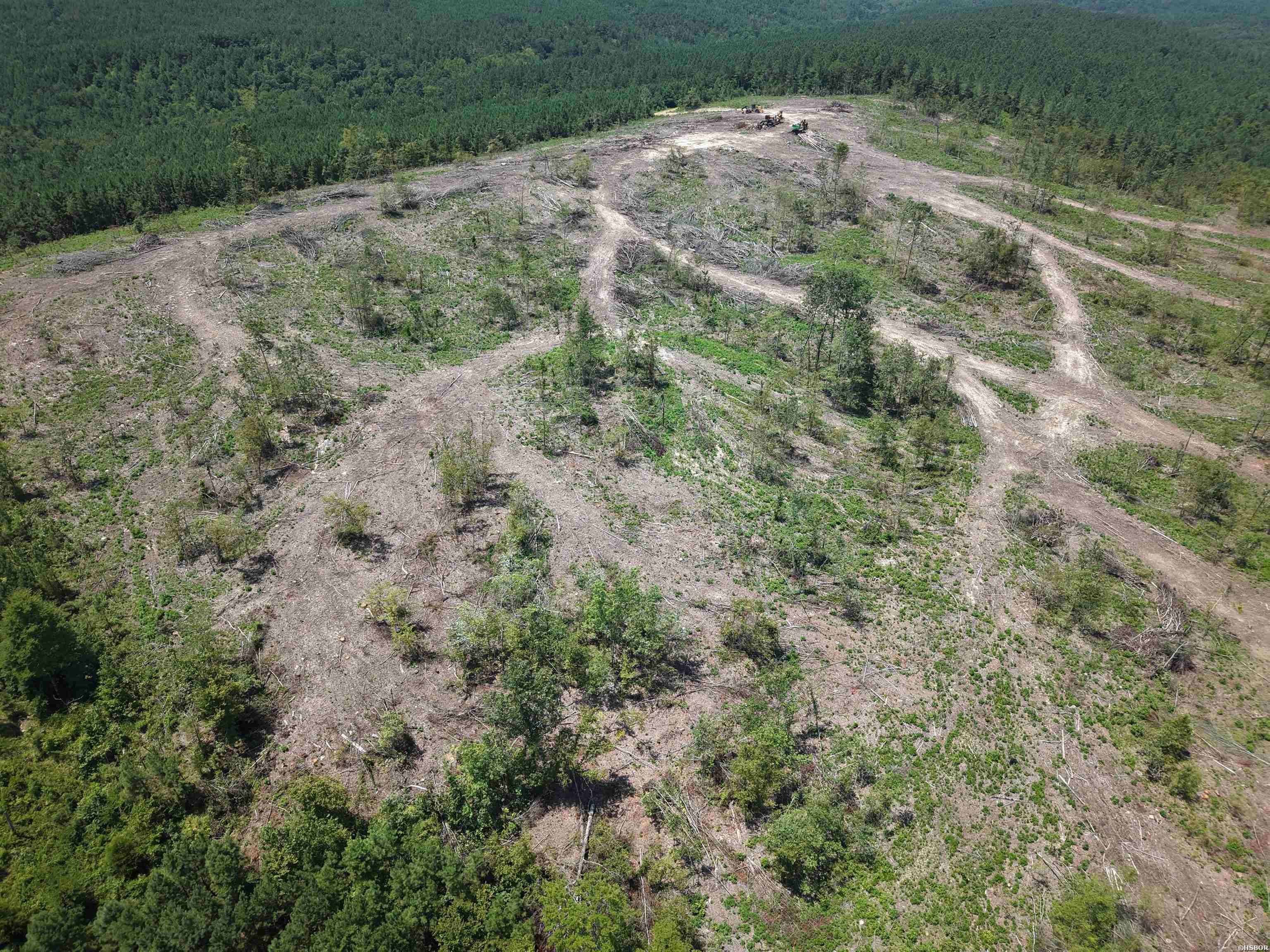 40 Acres W376 Property Photo 5