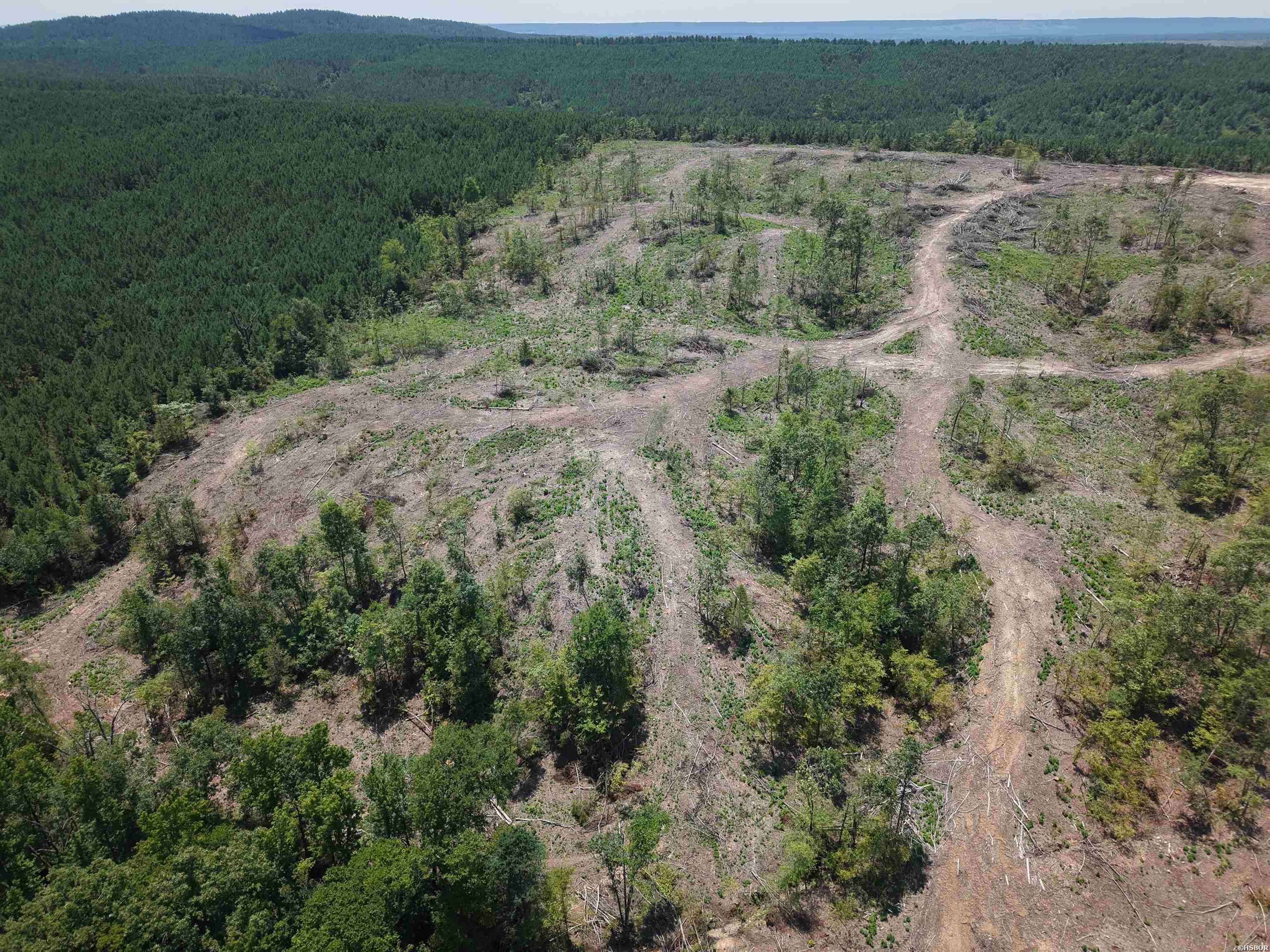 40 Acres W376 Property Photo 6