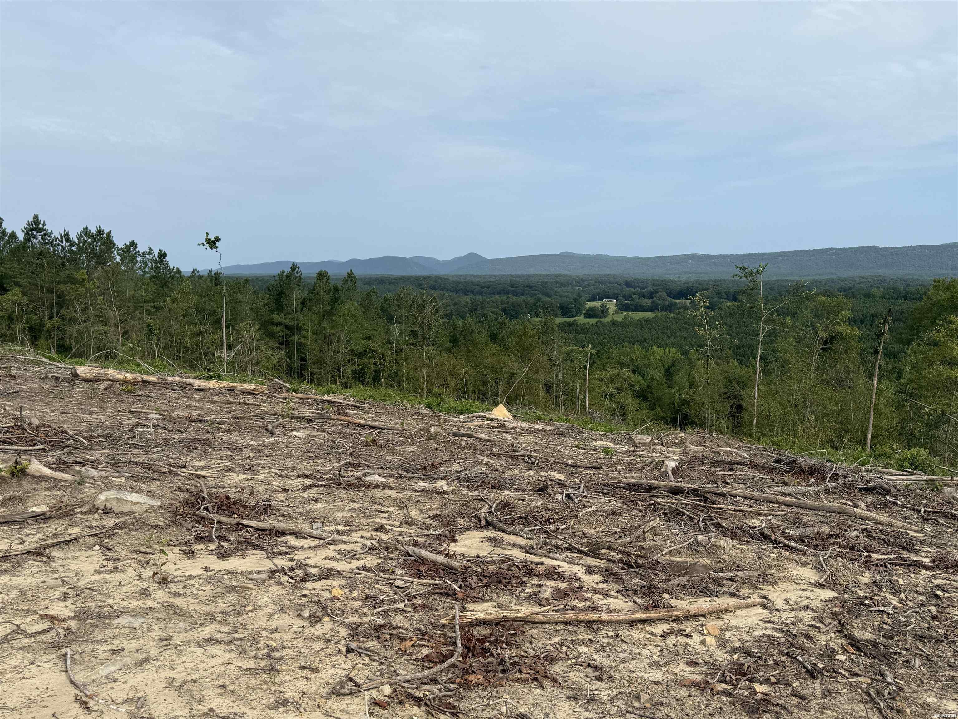 40 Acres W376 Property Photo 10