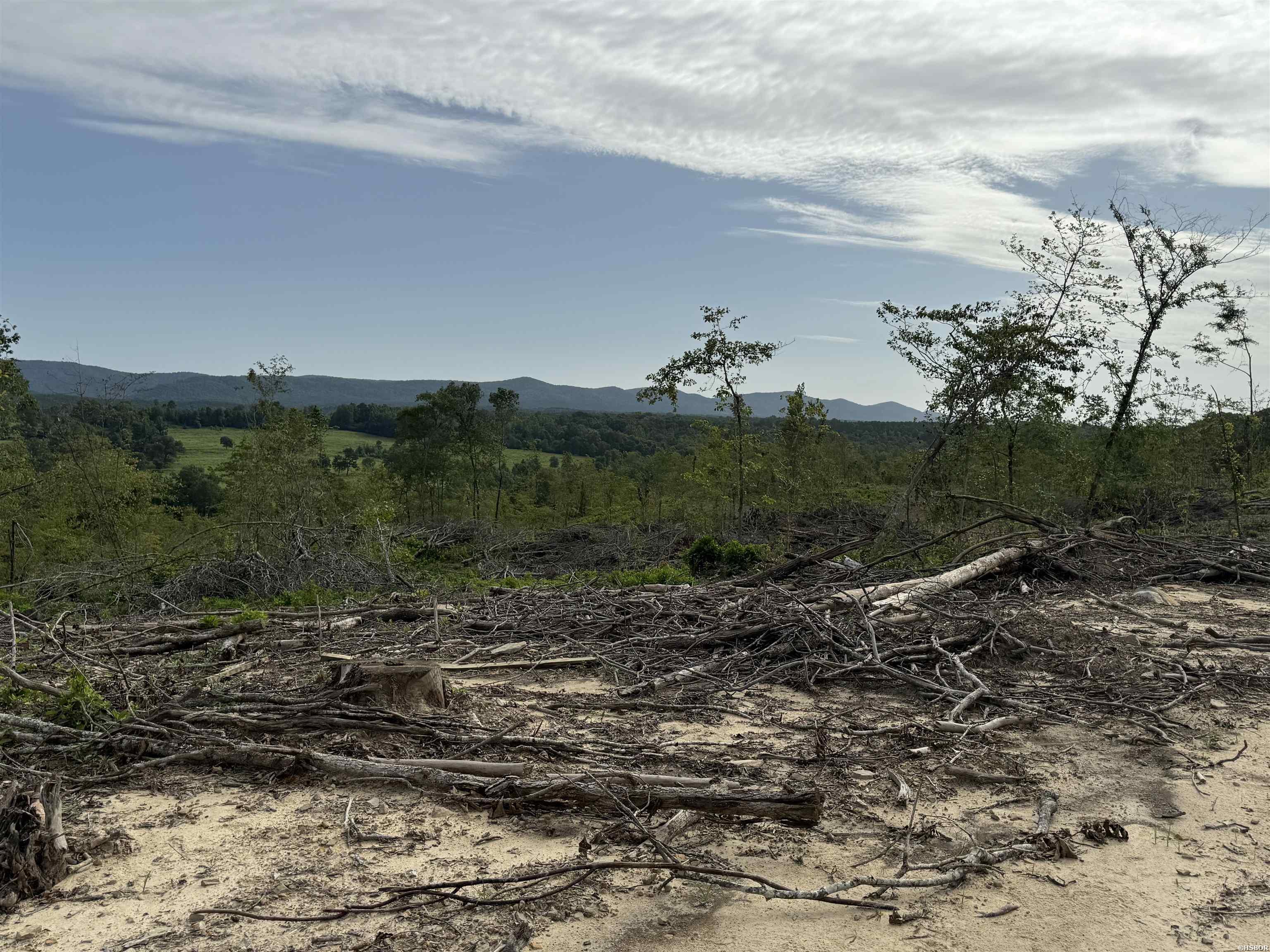 40 Acres W376 Property Photo 12