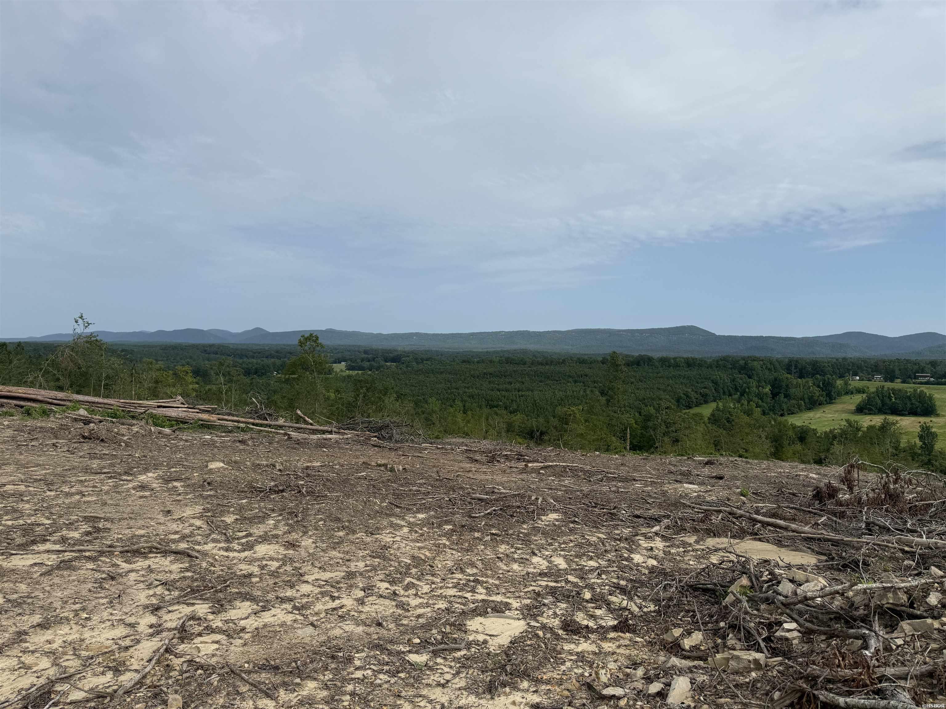 40 Acres W376 Property Photo 14