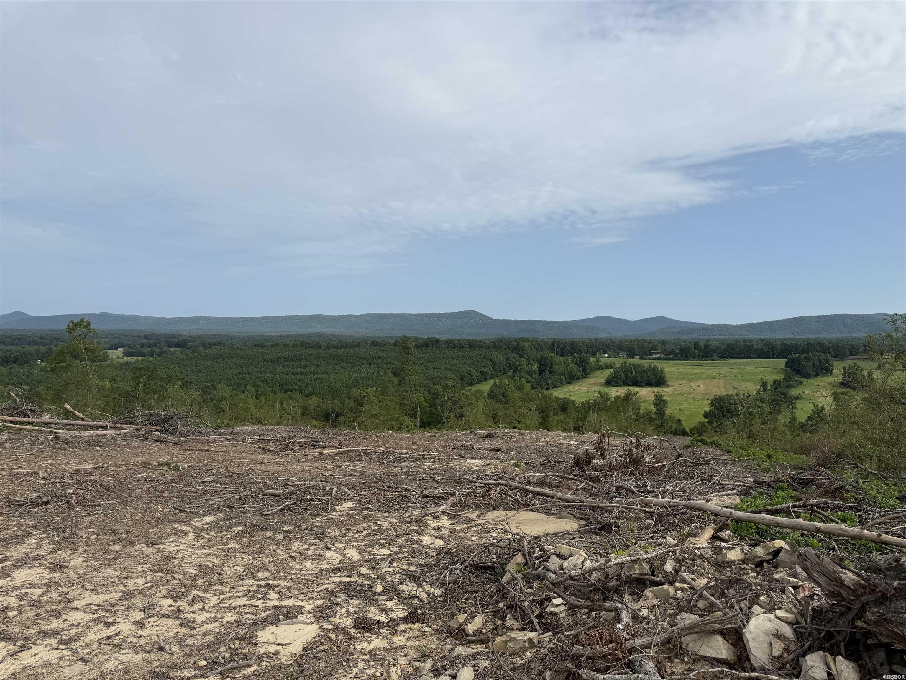 40 Acres W376 Property Photo 15