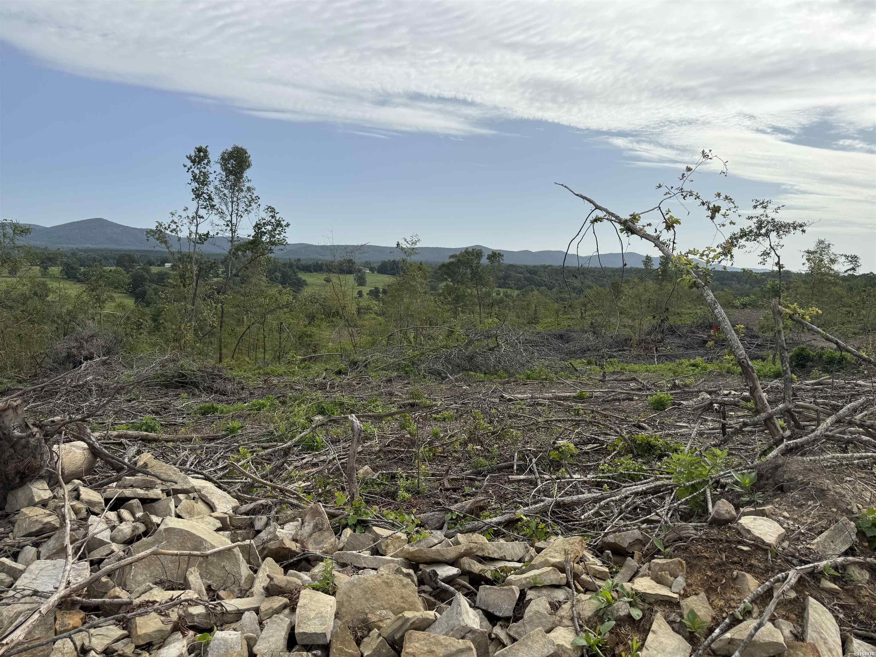 40 Acres W376 Property Photo 17