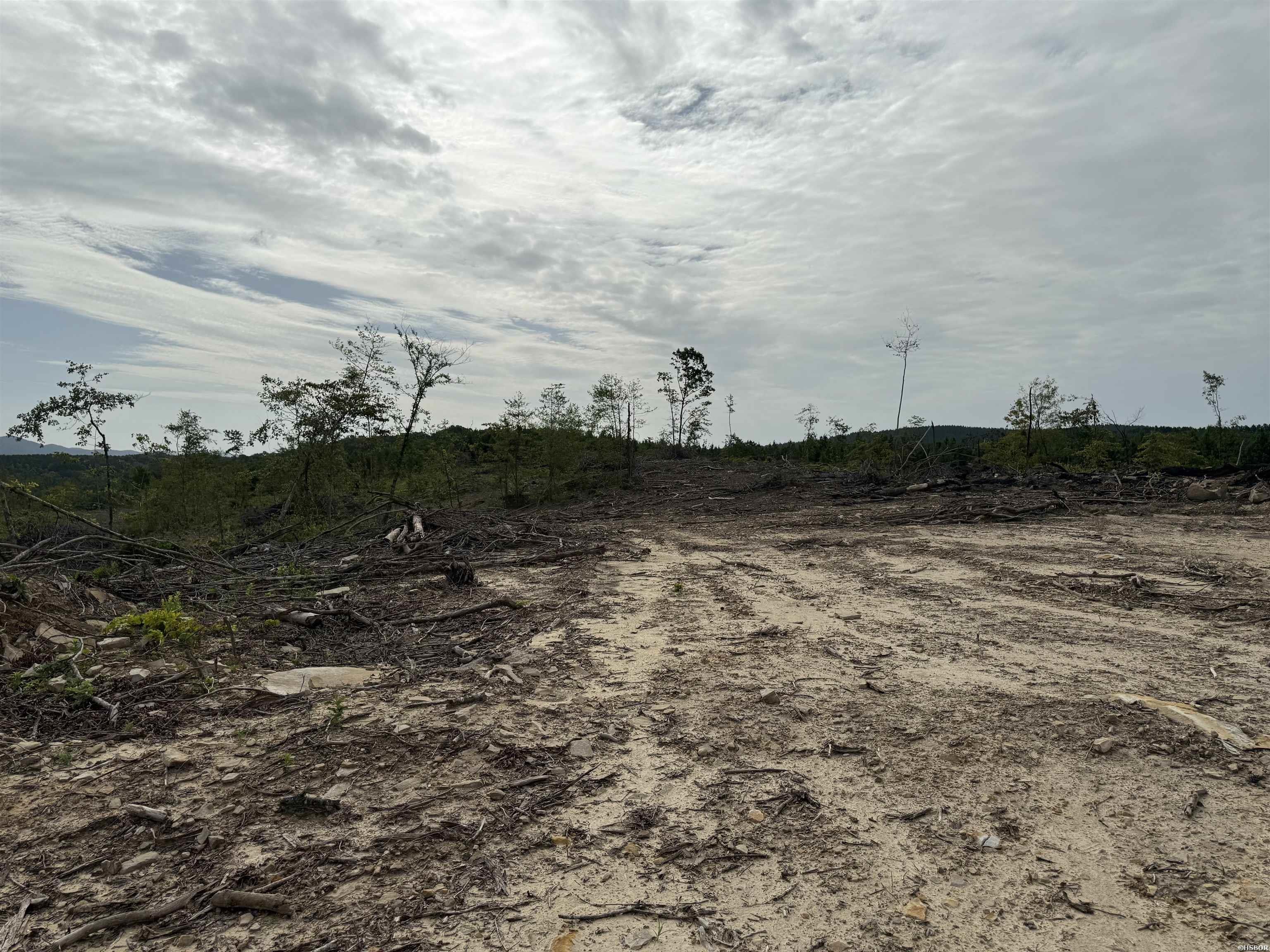40 Acres W376 Property Photo 18