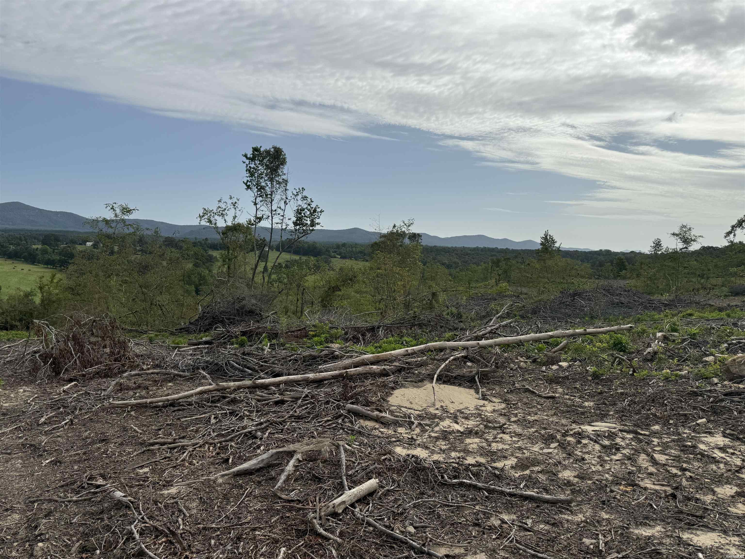 40 Acres W376 Property Photo 19