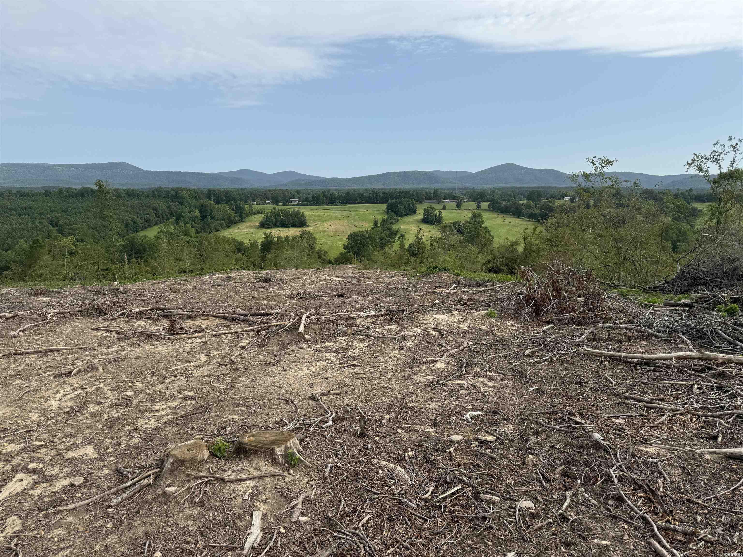 40 Acres W376 Property Photo 20