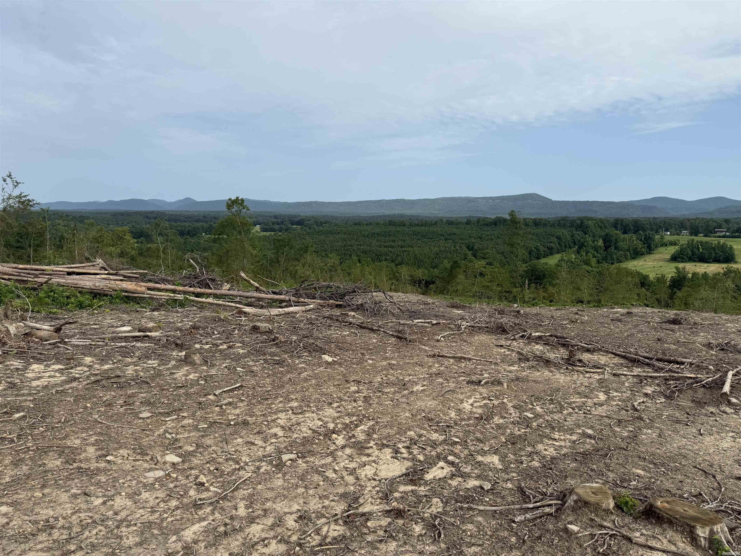 40 Acres W376 Property Photo 21