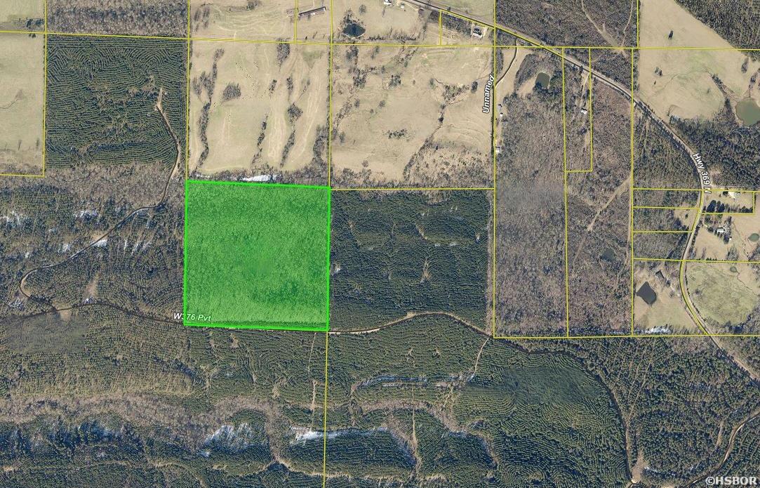 40 Acres W376 Property Photo 23