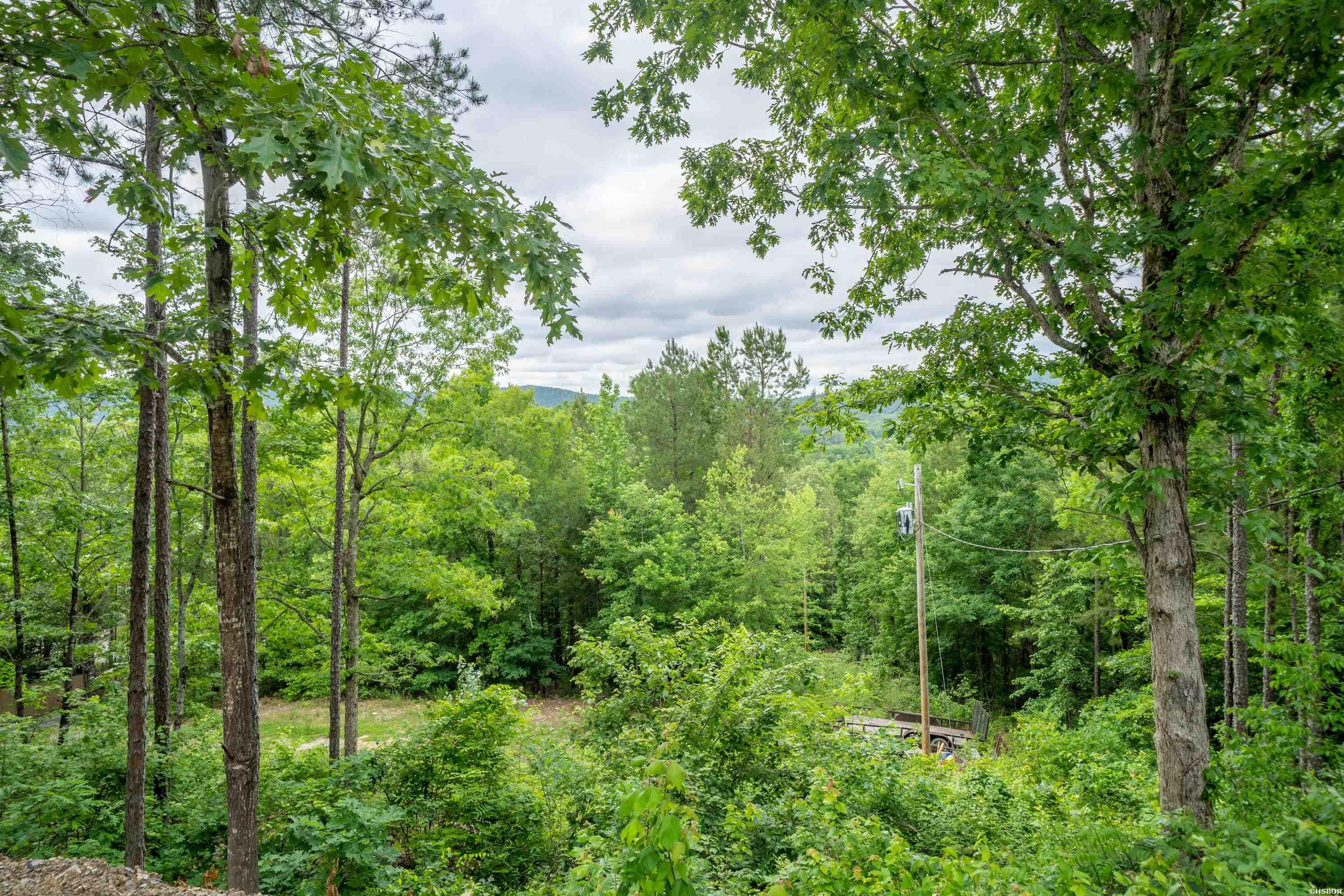 189 Crepe Myrtle Trail Property Photo 25
