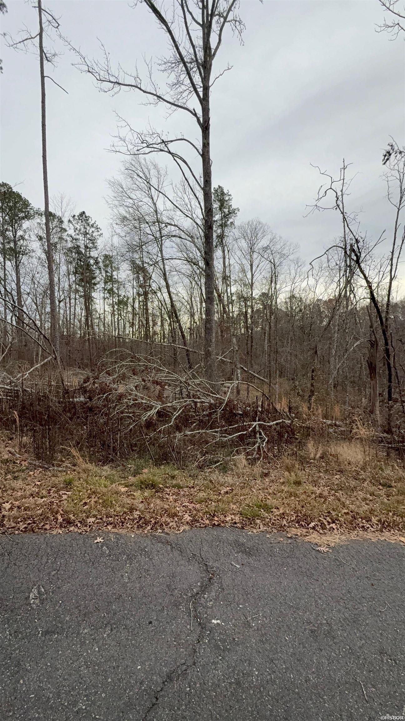 Rodrigo Lane Property Photo 1