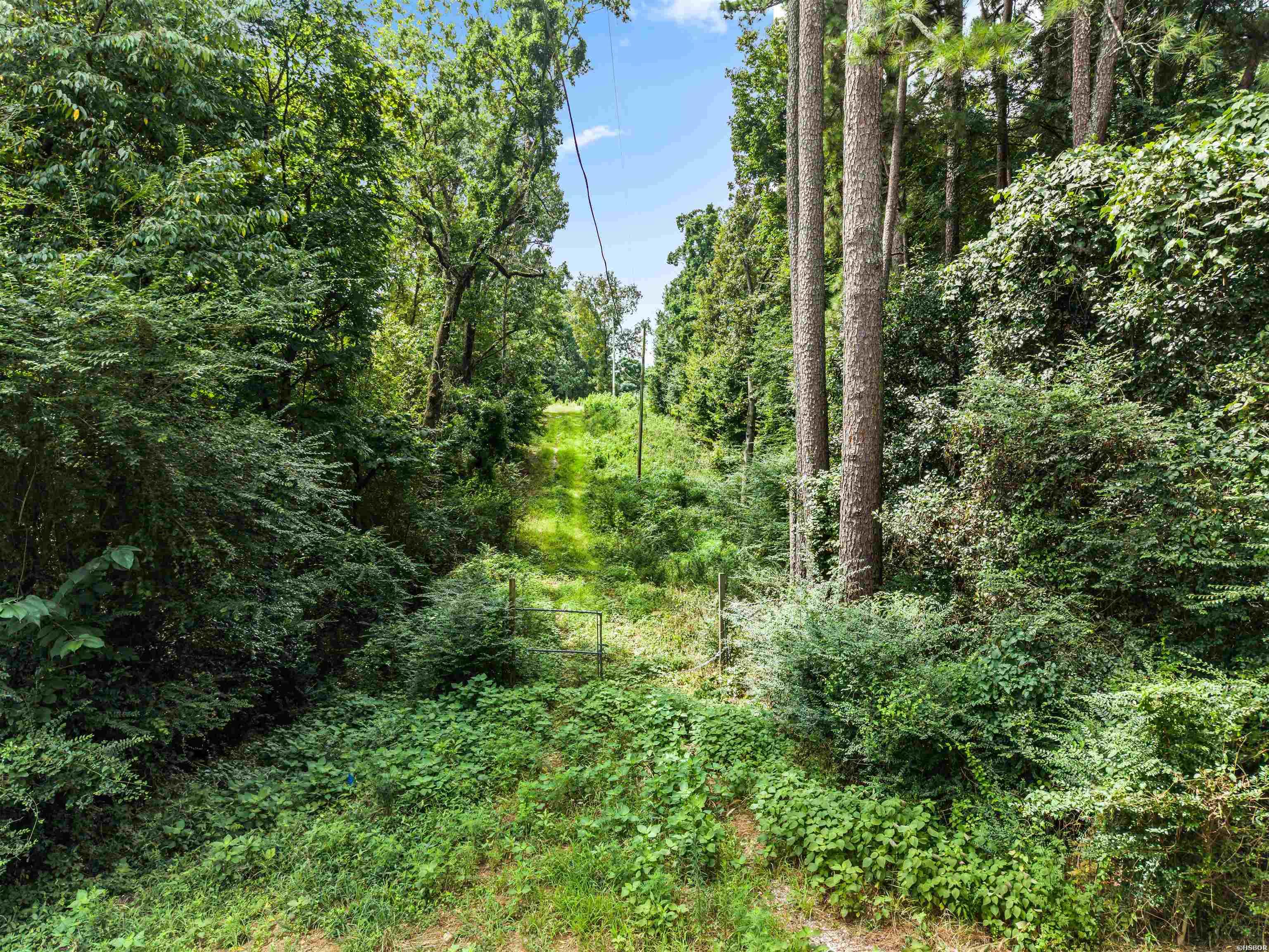 410 Cain Road Property Photo 8