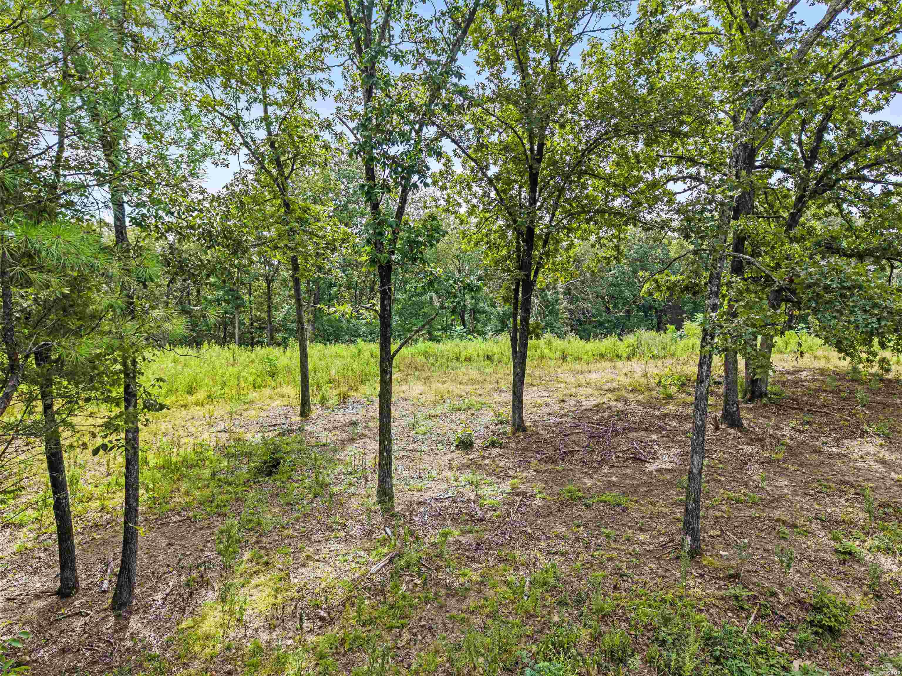 410 Cain Road Property Photo 9