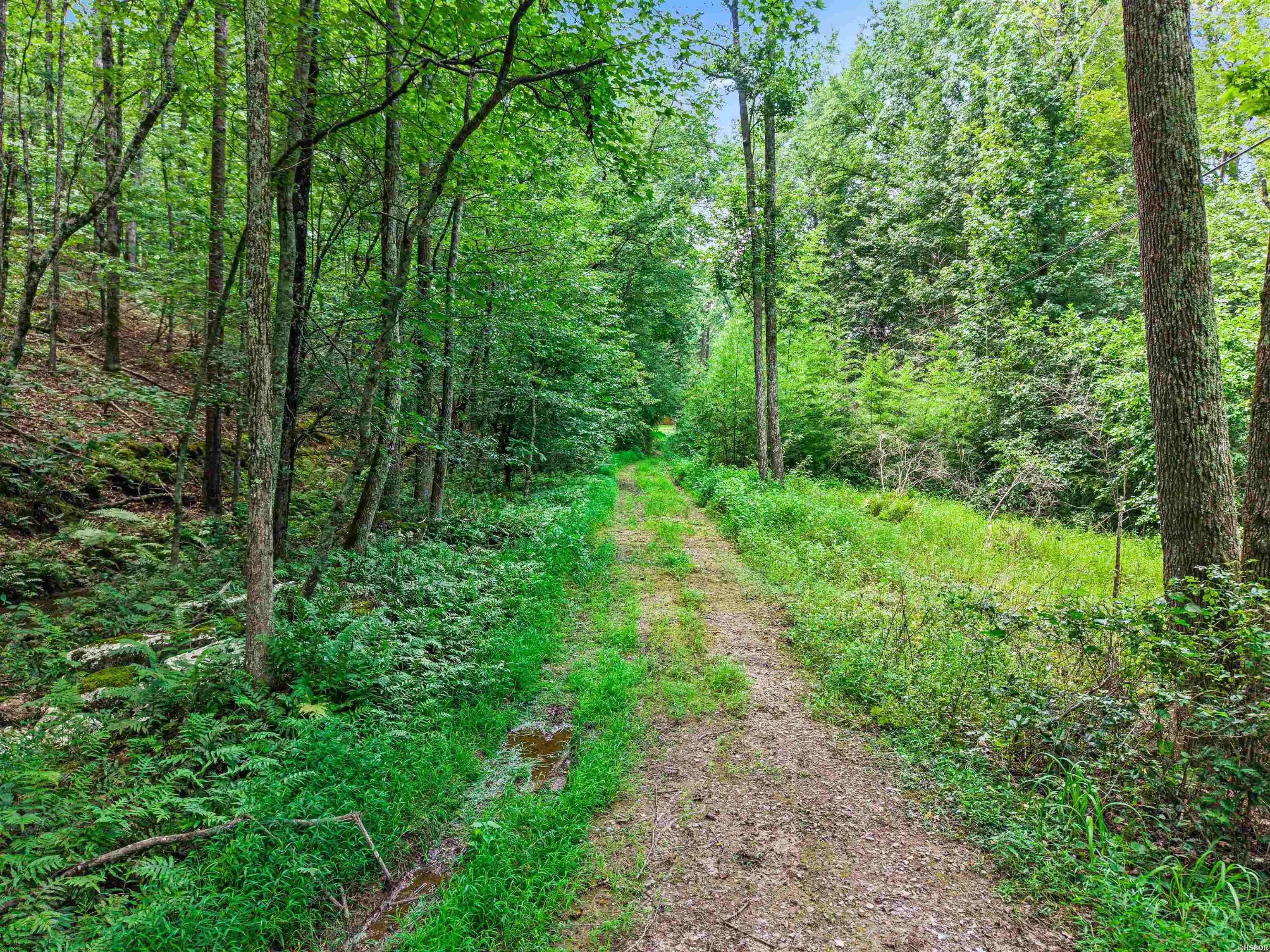 000 Highway 7 Property Photo 10