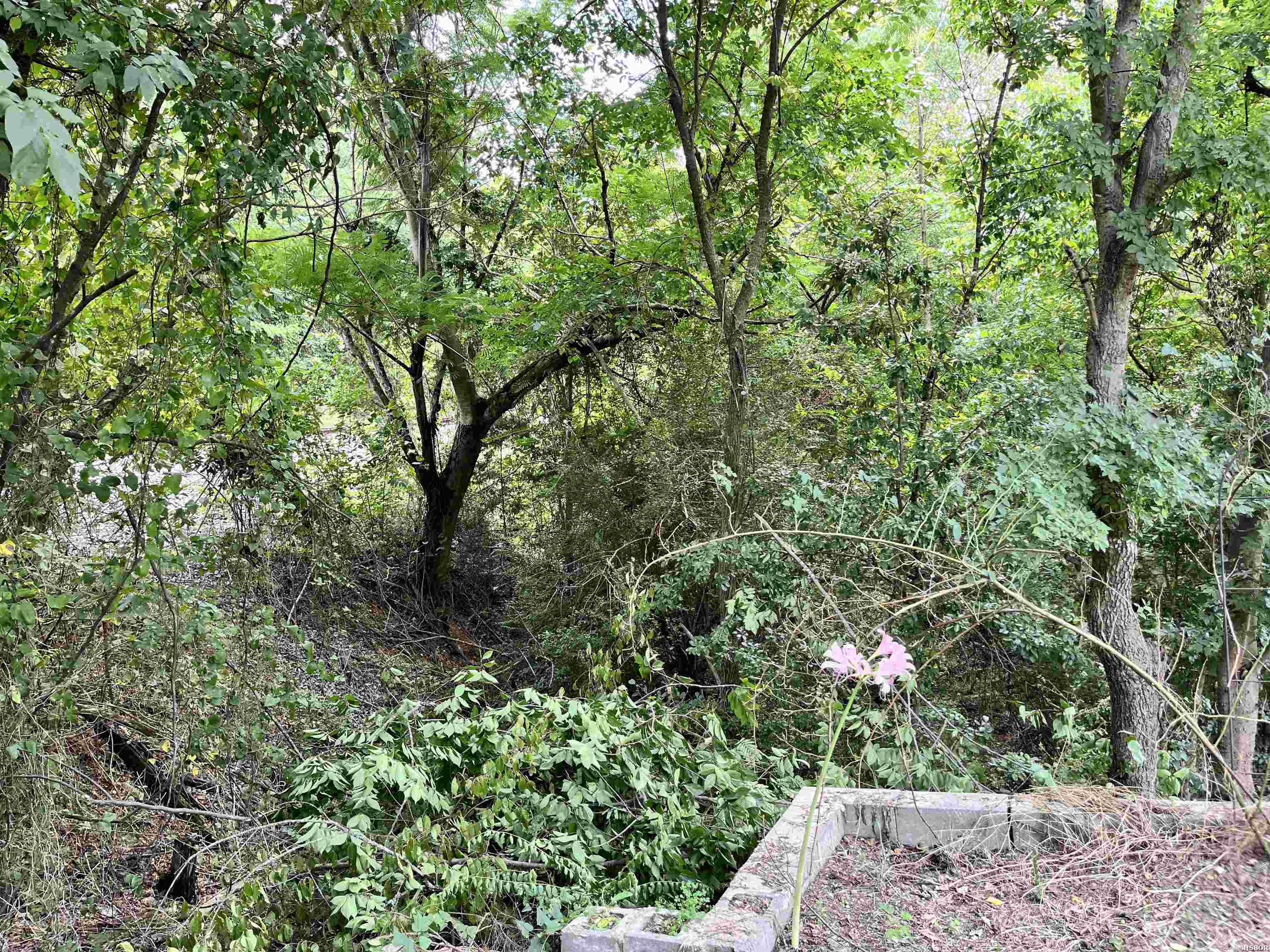 294 Ledgerock Property Photo 1