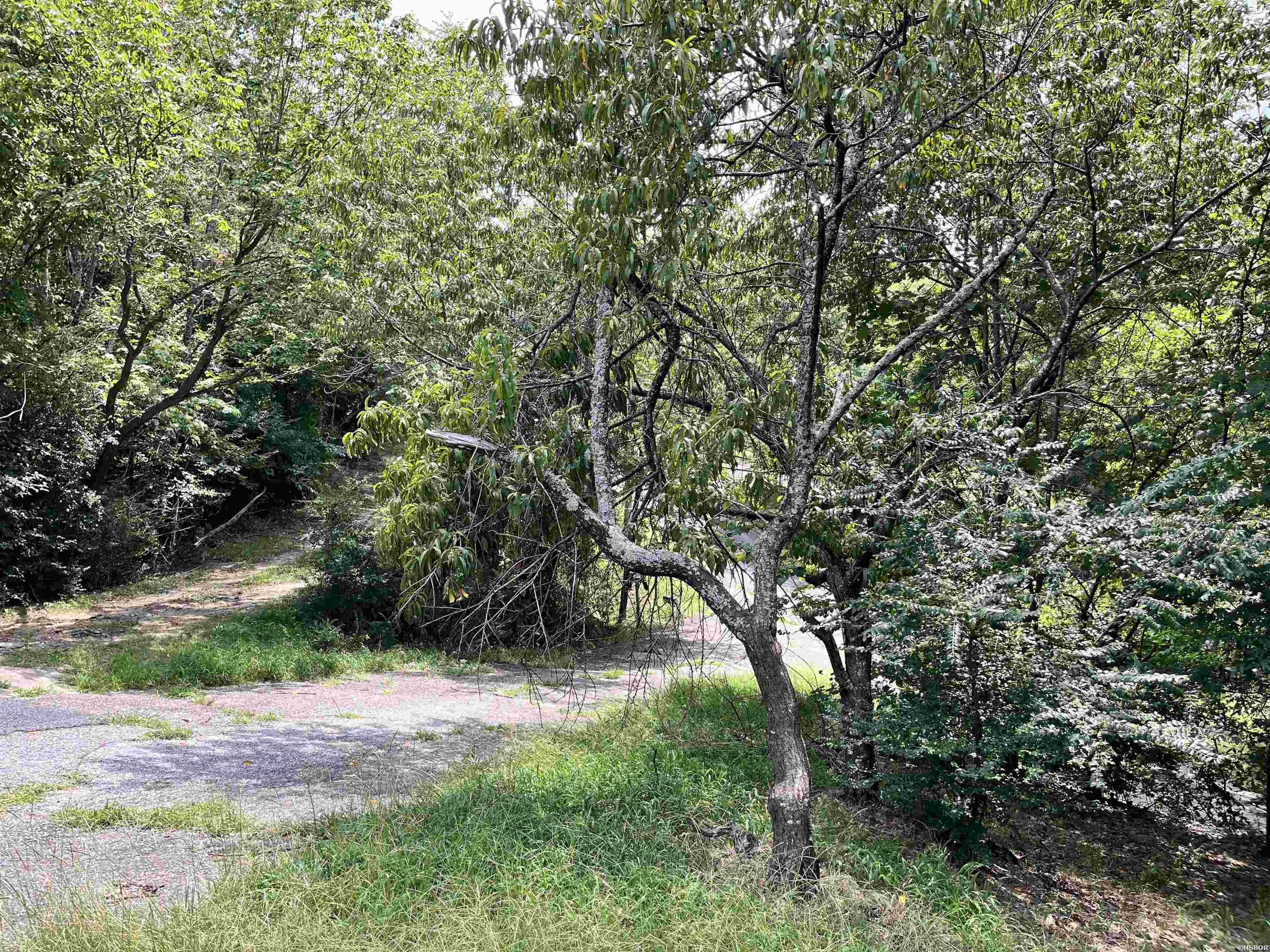 294 Ledgerock Property Photo 3