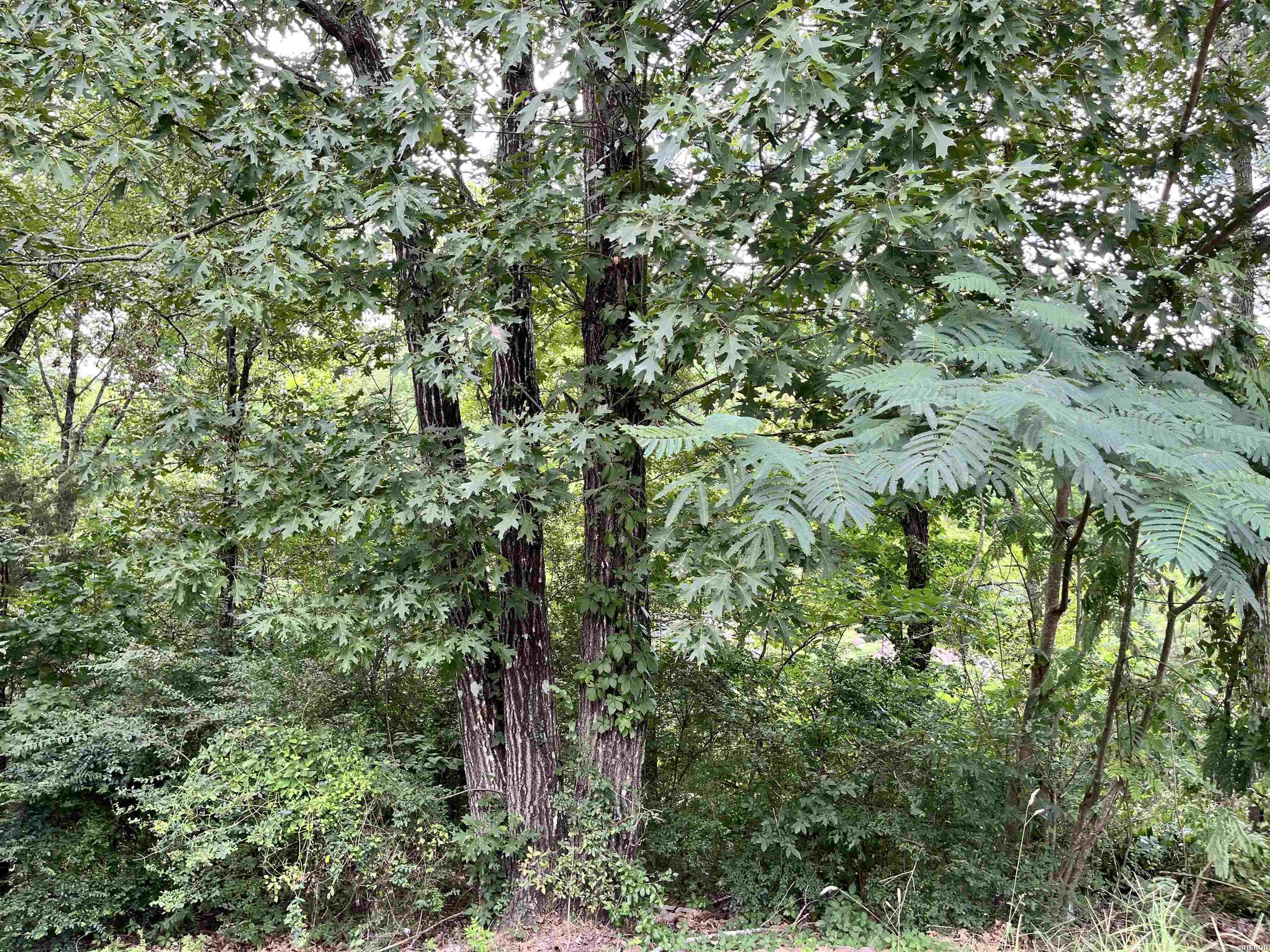 294 Ledgerock Property Photo 4
