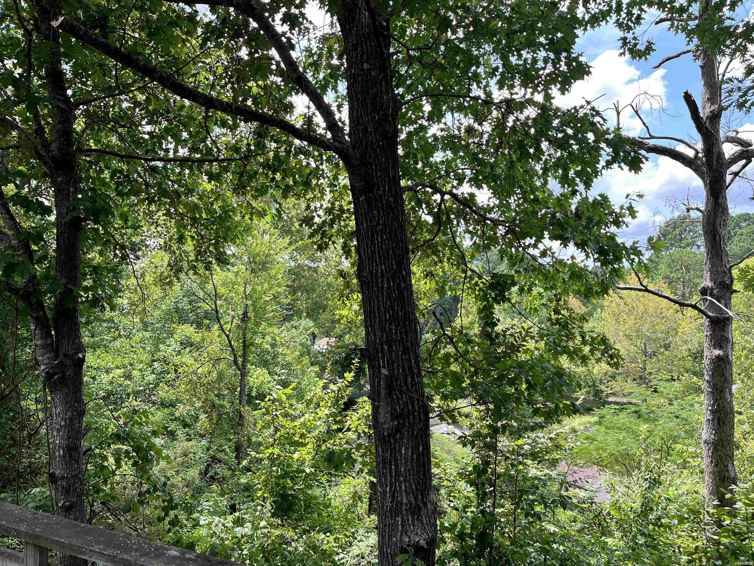 294 Ledgerock Property Photo 10