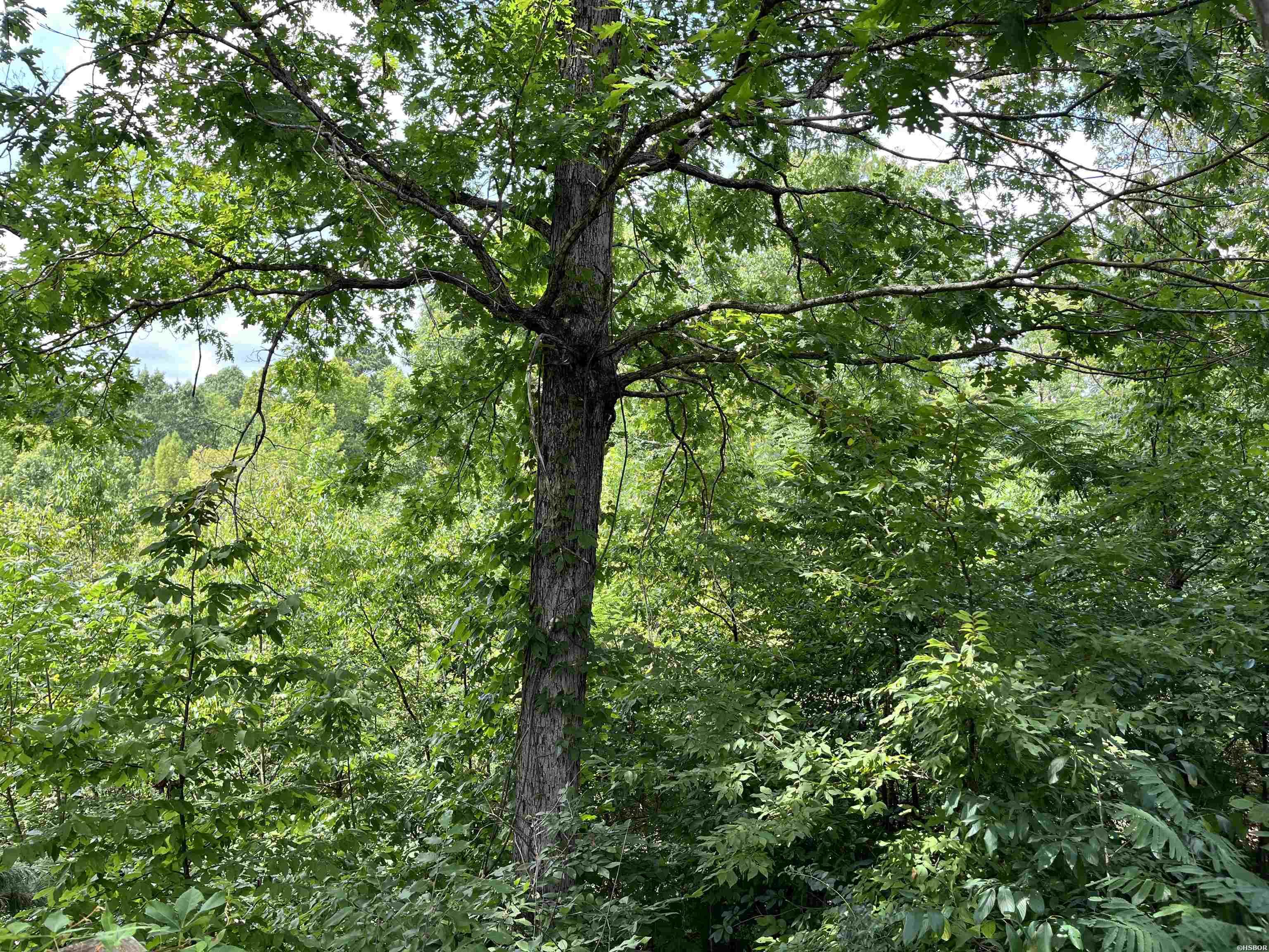 294 Ledgerock Property Photo 11