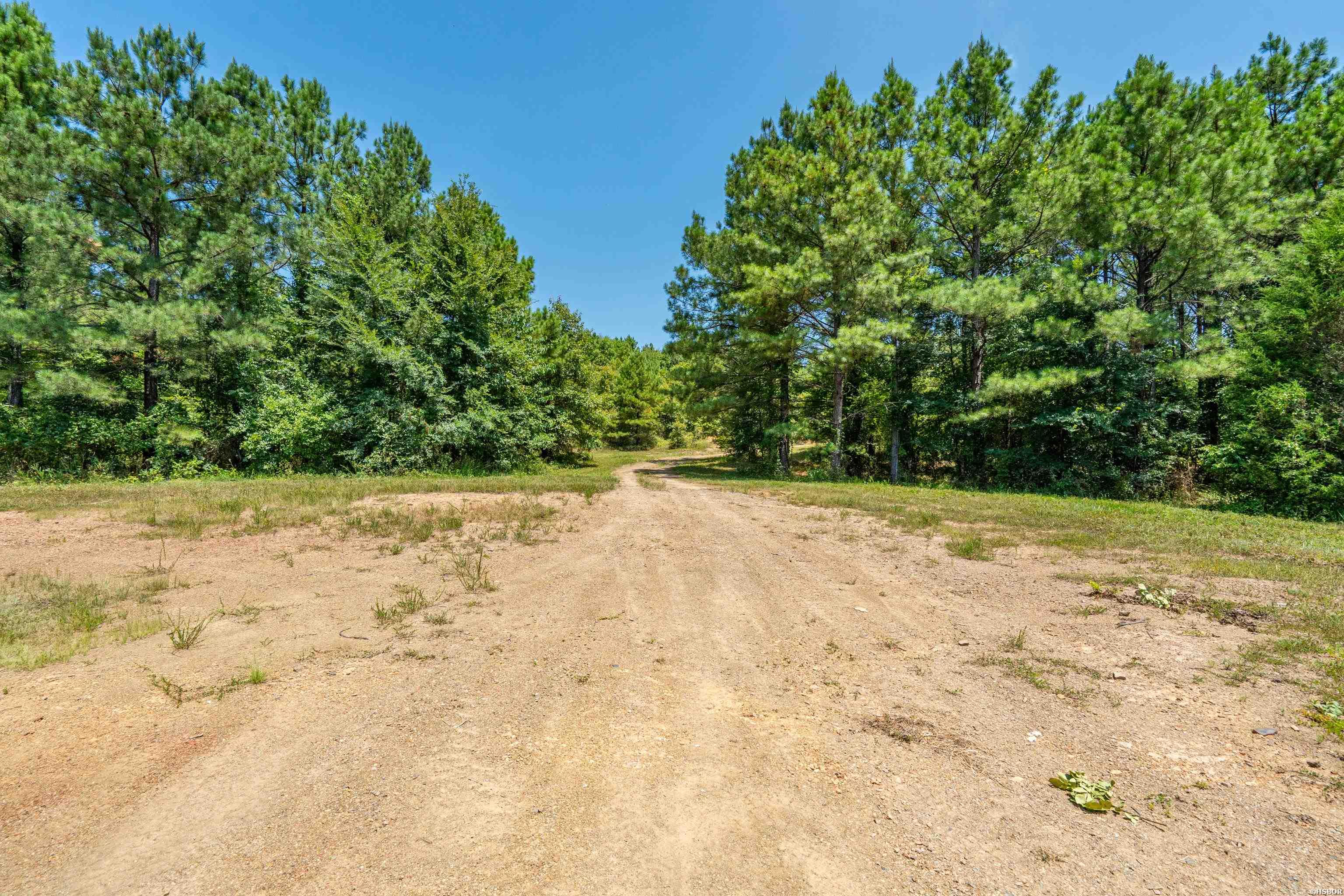 Tbd 56.13 Acres Broken Bow Lane Property Photo 4
