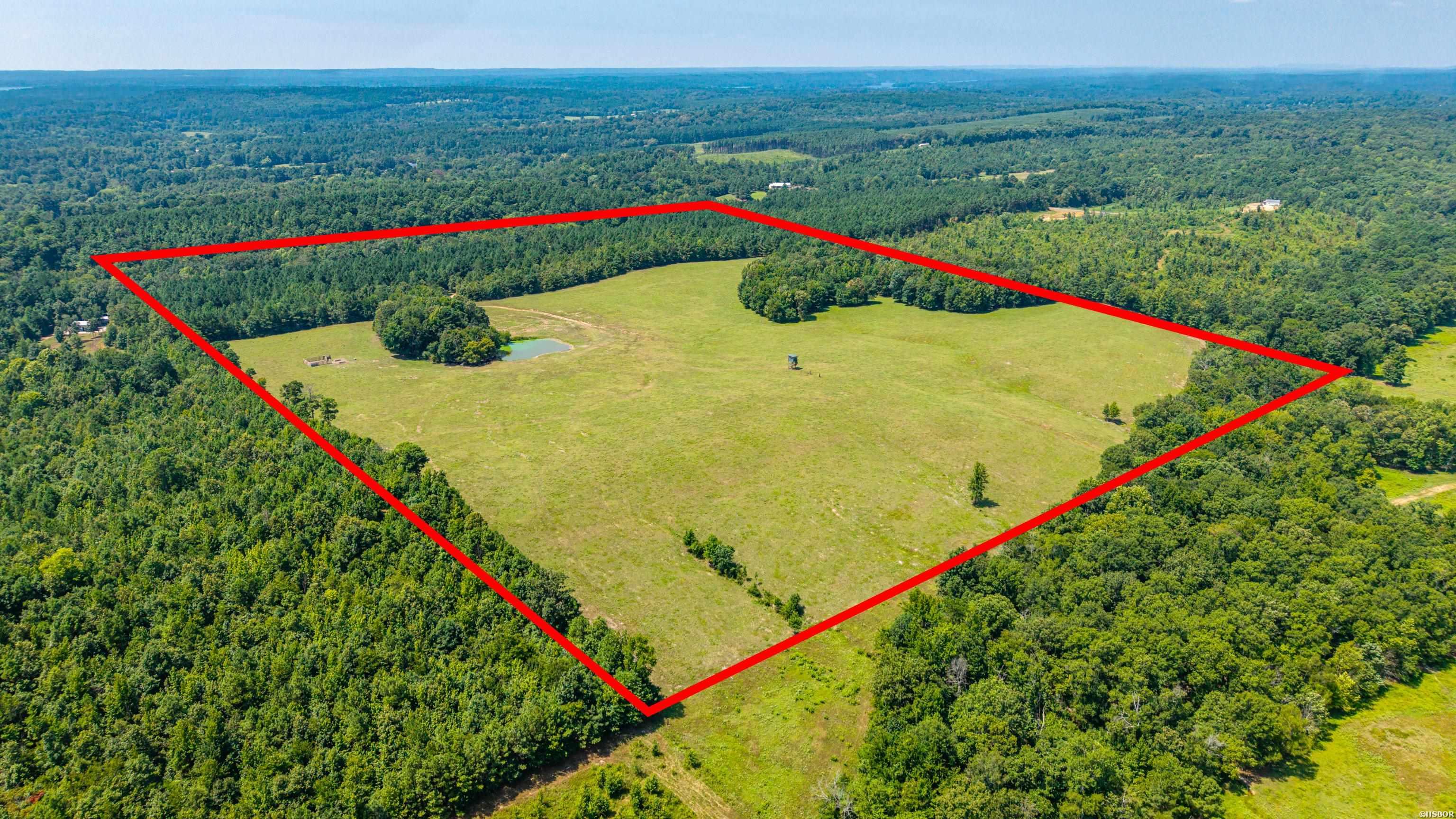Tbd 56.13 Acres Broken Bow Lane Property Photo 6