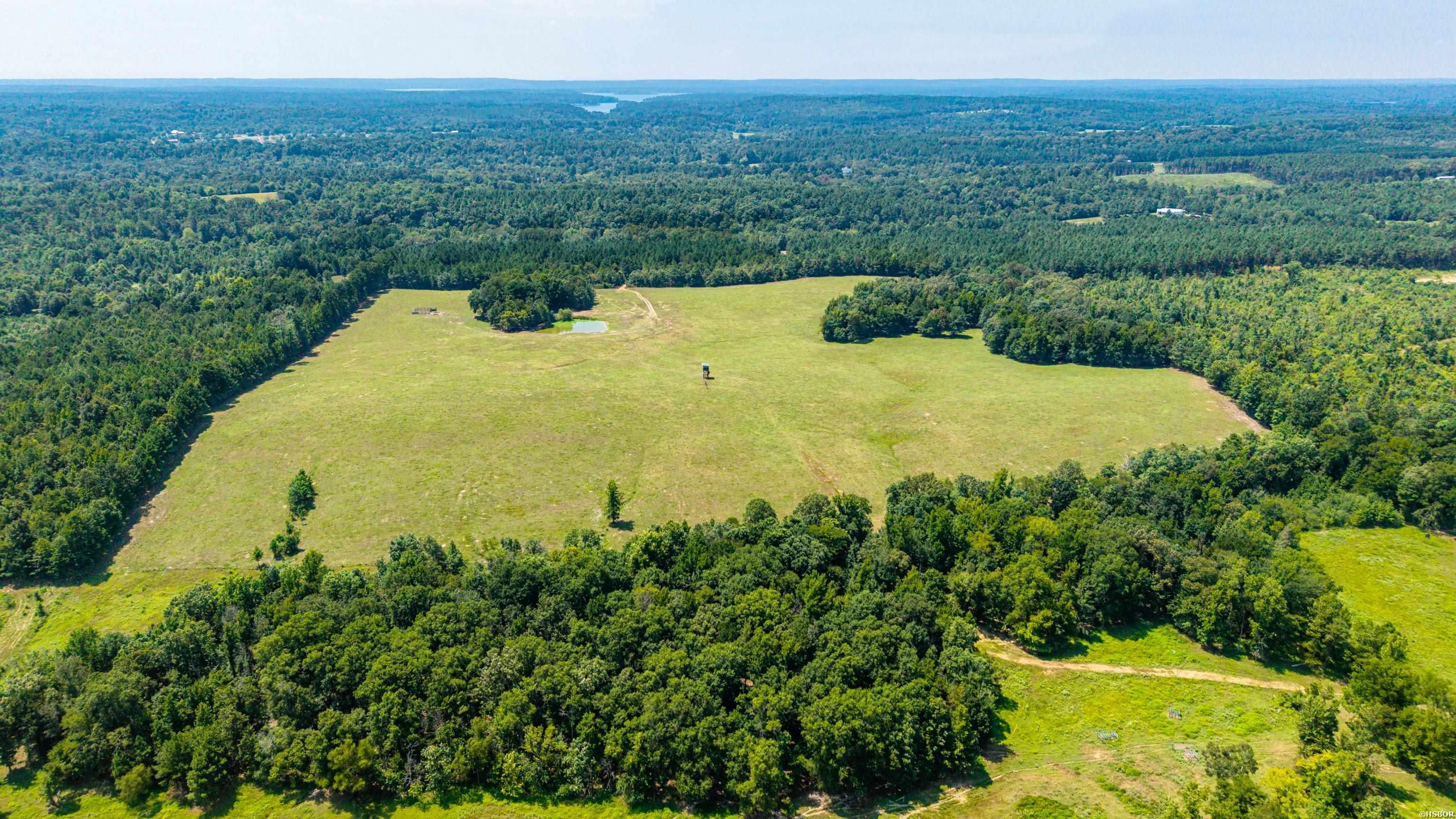 Tbd 56.13 Acres Broken Bow Lane Property Photo 8