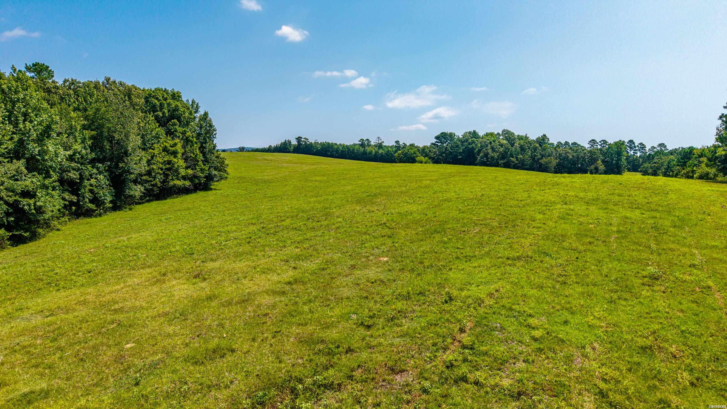 Tbd 56.13 Acres Broken Bow Lane Property Photo 12