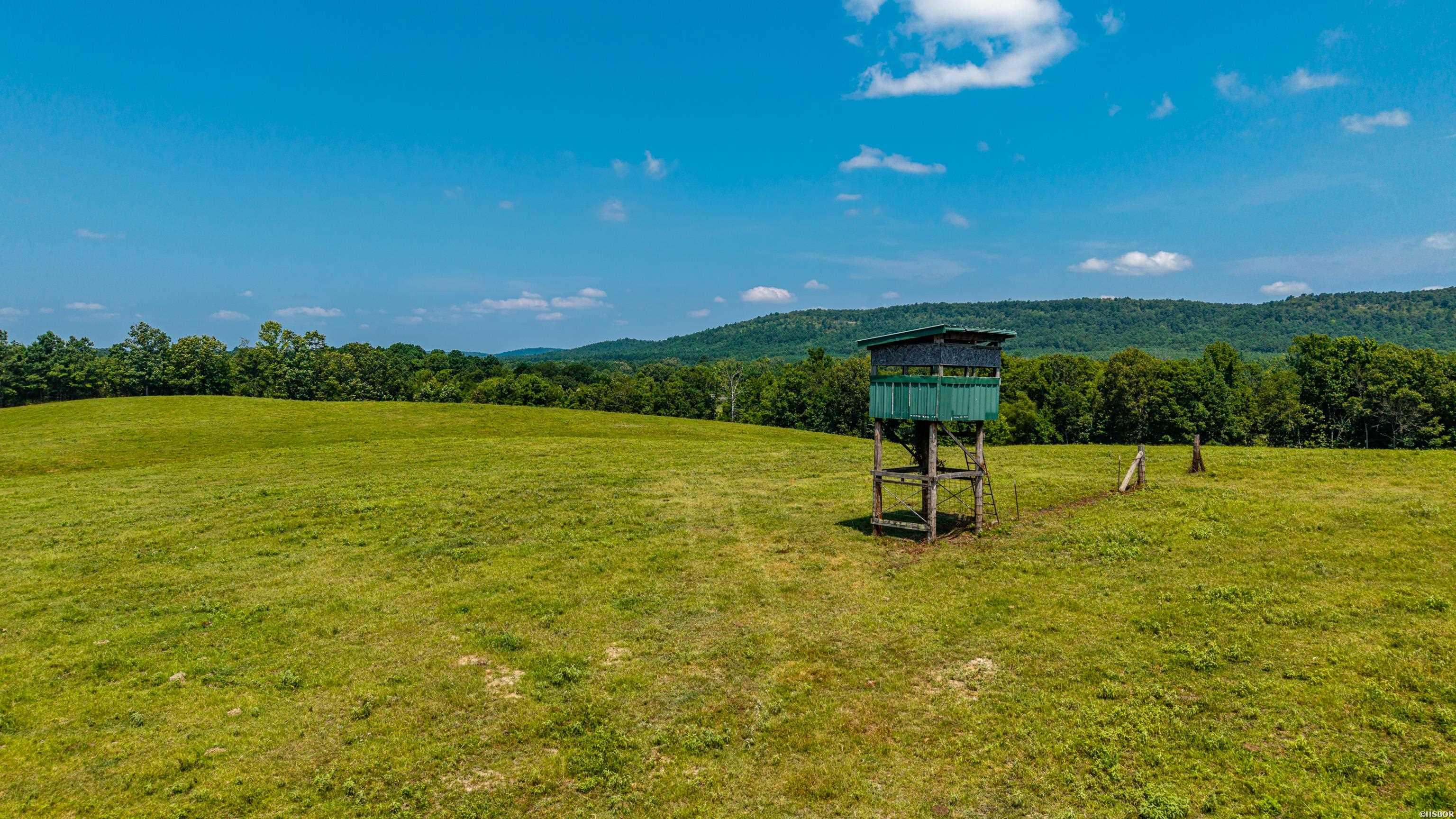 Tbd 56.13 Acres Broken Bow Lane Property Photo 14