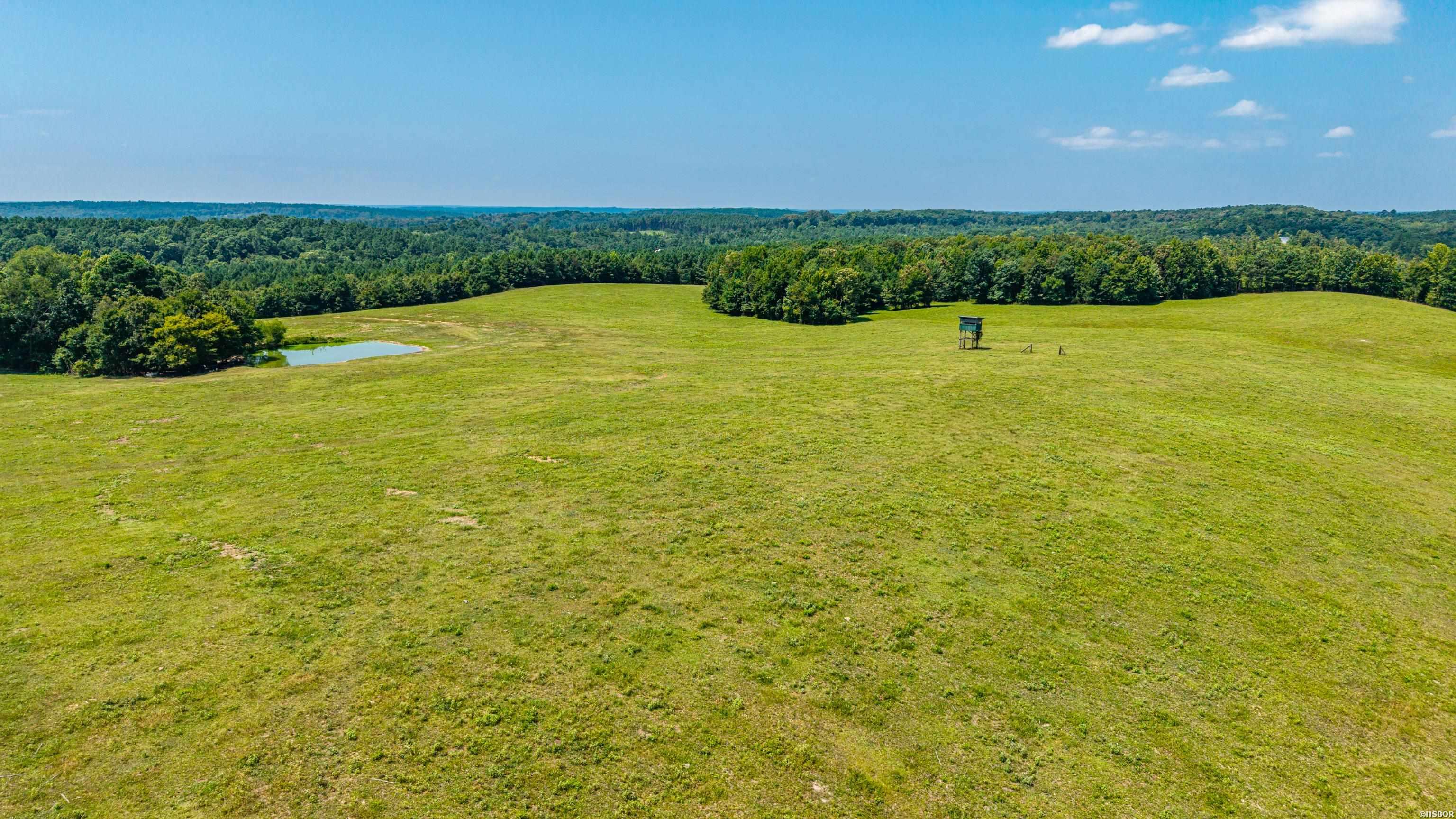Tbd 56.13 Acres Broken Bow Lane Property Photo 17