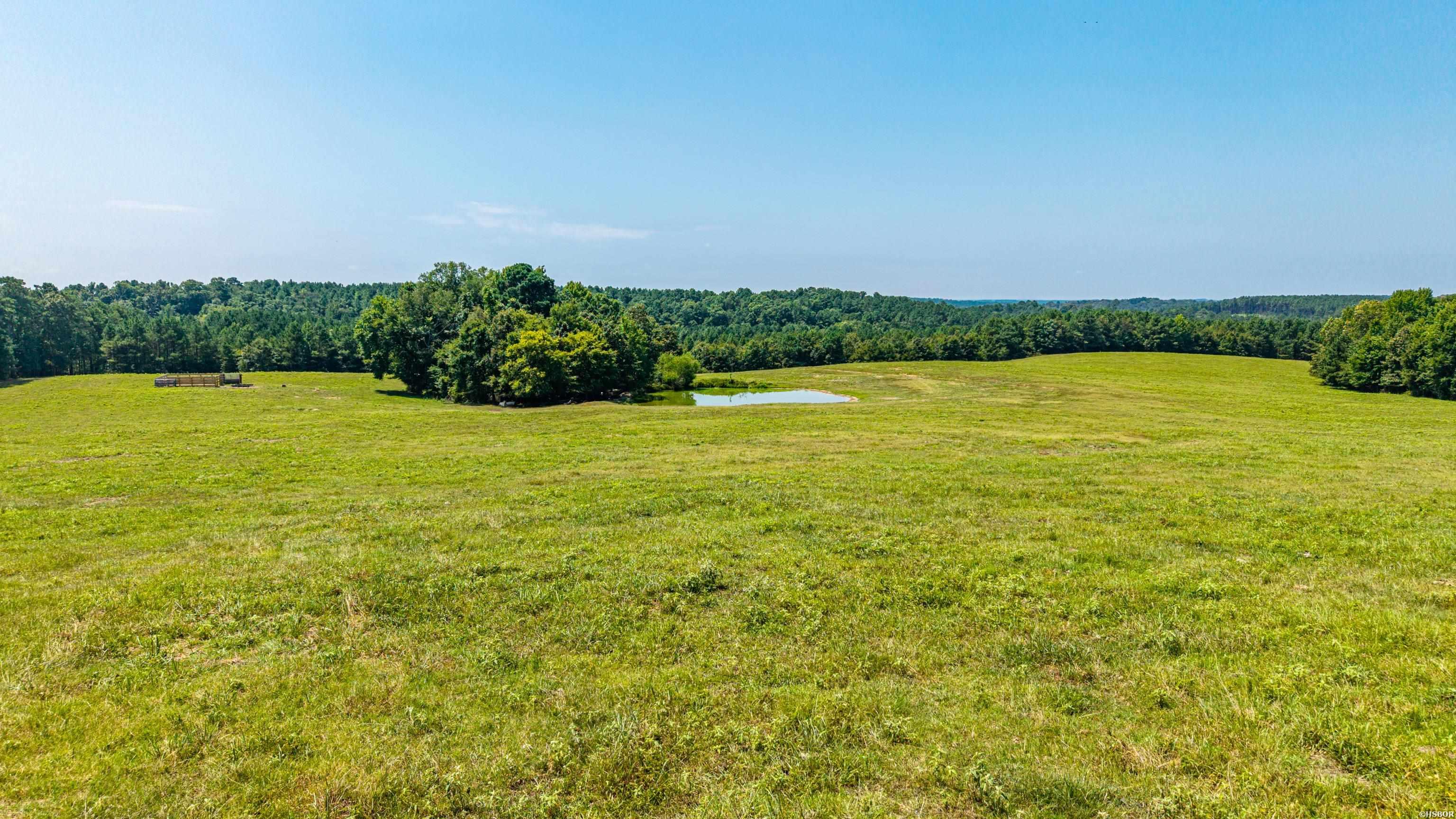 Tbd 56.13 Acres Broken Bow Lane Property Photo 18