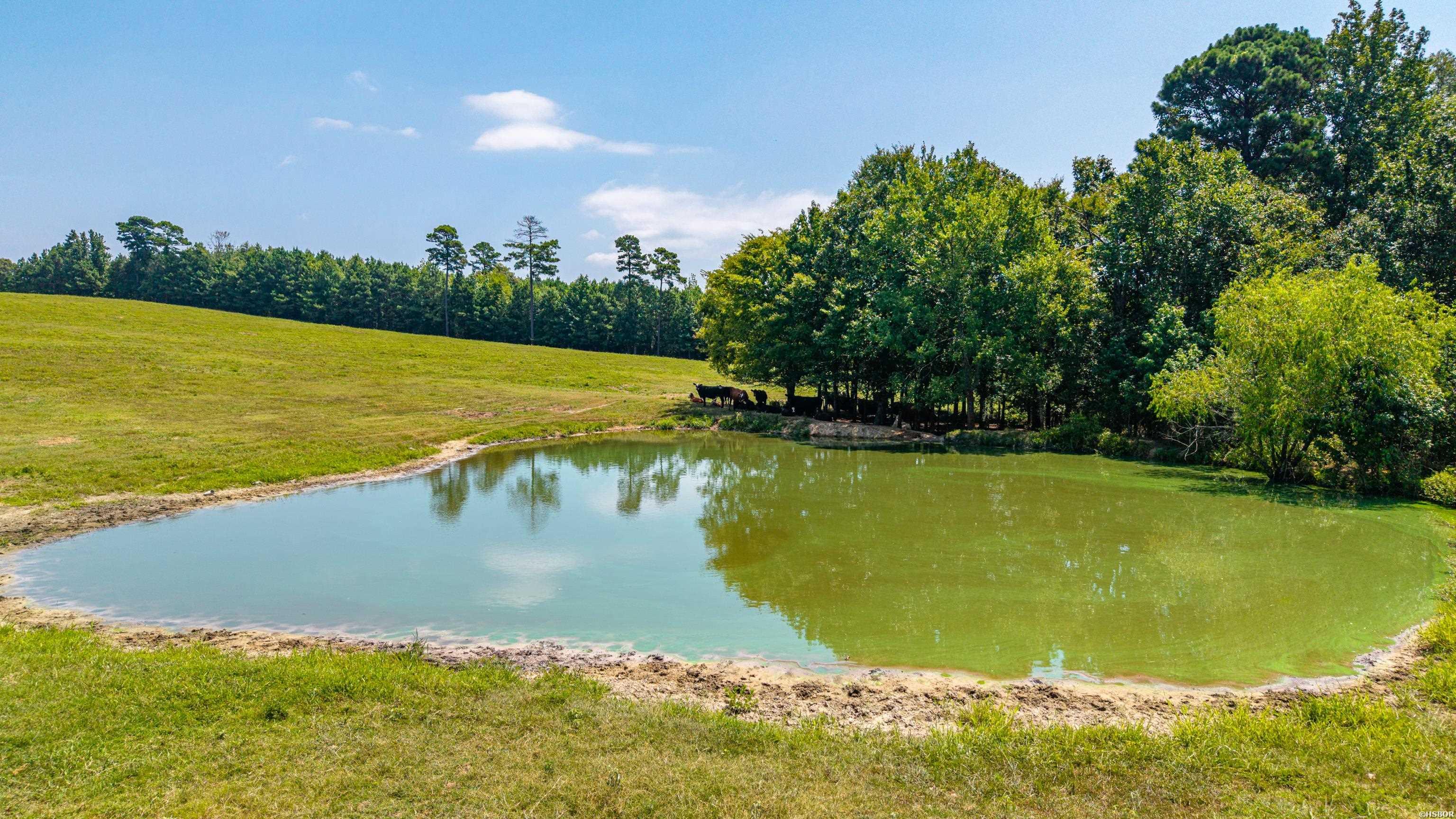 Tbd 56.13 Acres Broken Bow Lane Property Photo 19