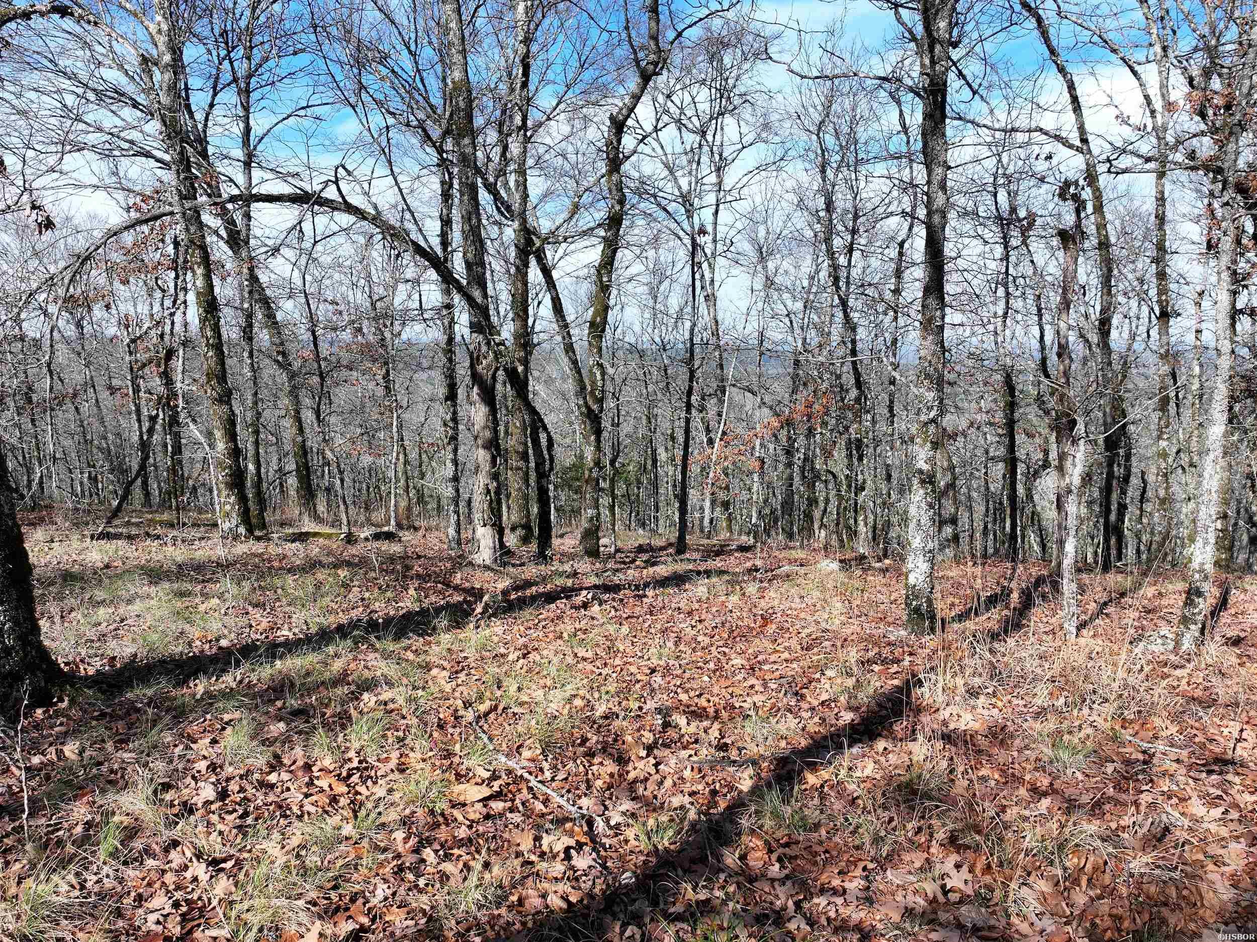 3373 HWY 347 Property Photo 1