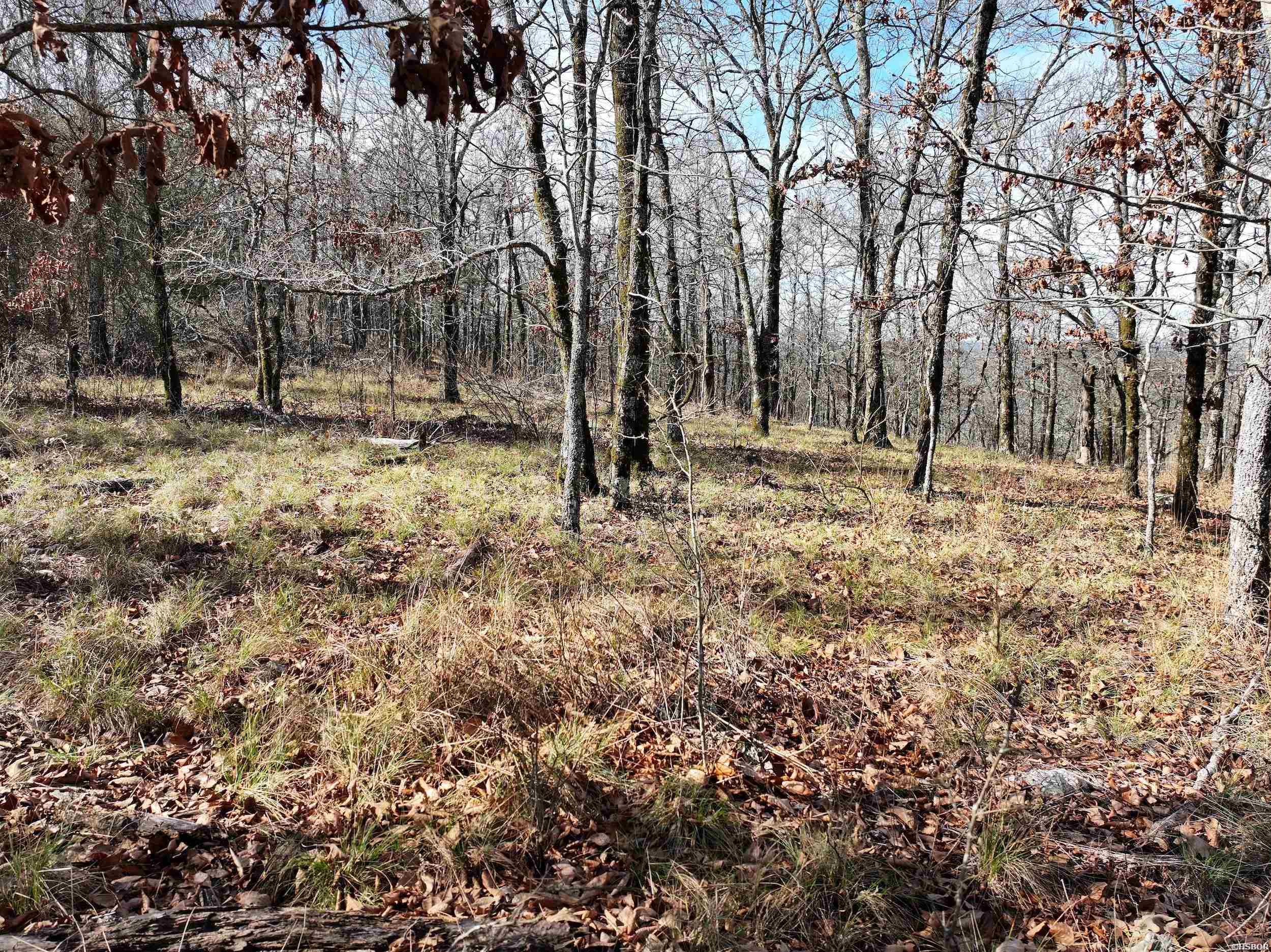 3373 Hwy 347 Property Photo 4