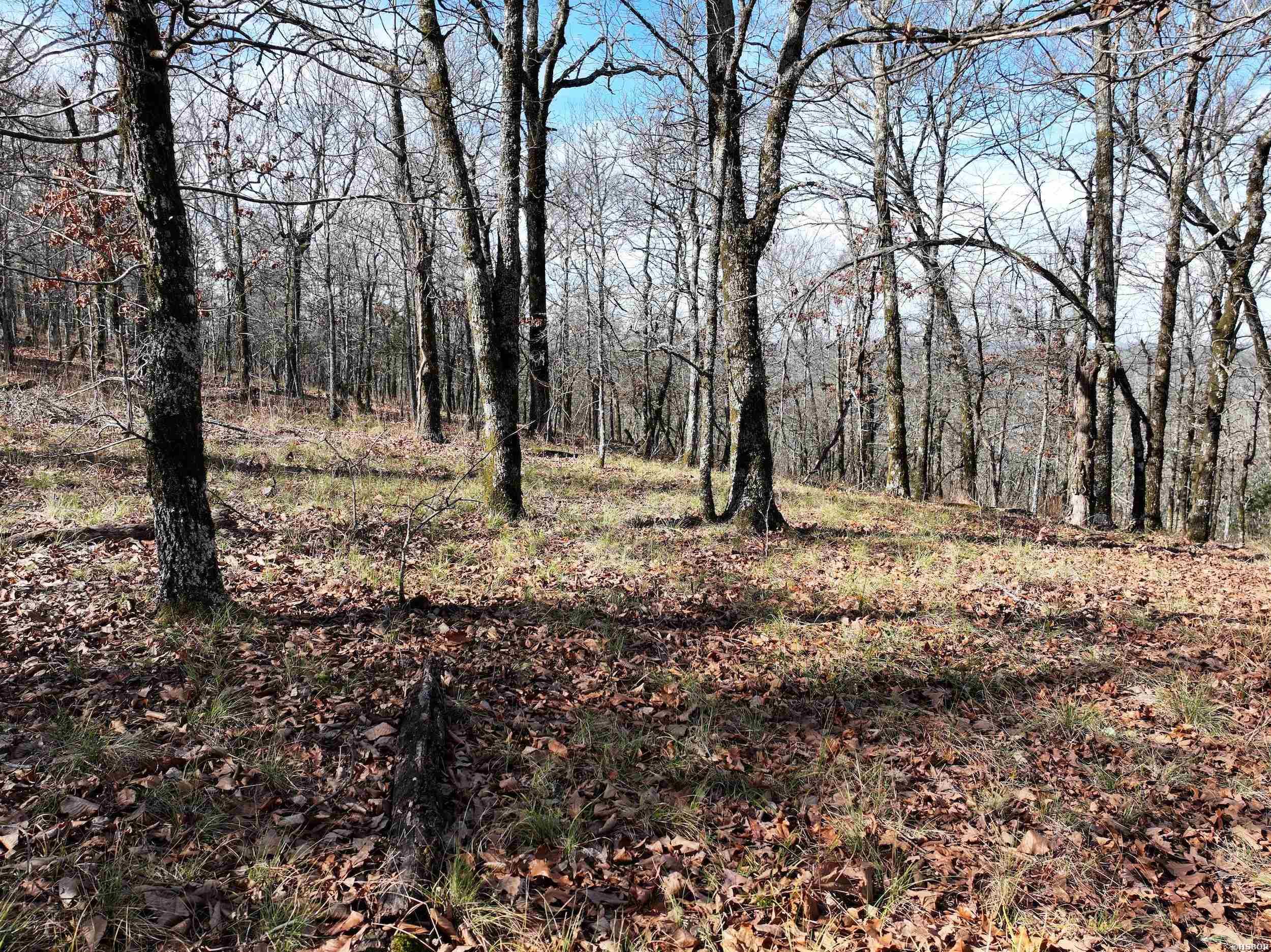 3373 Hwy 347 Property Photo 5