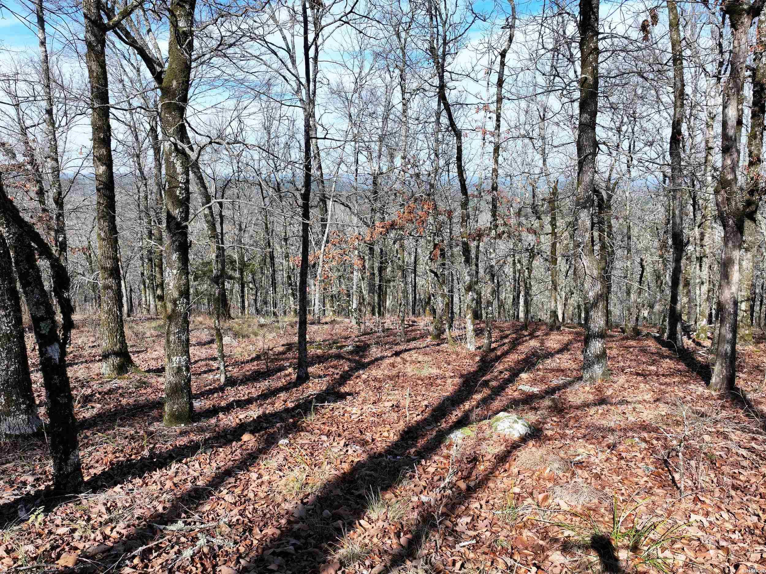 3373 Hwy 347 Property Photo 6