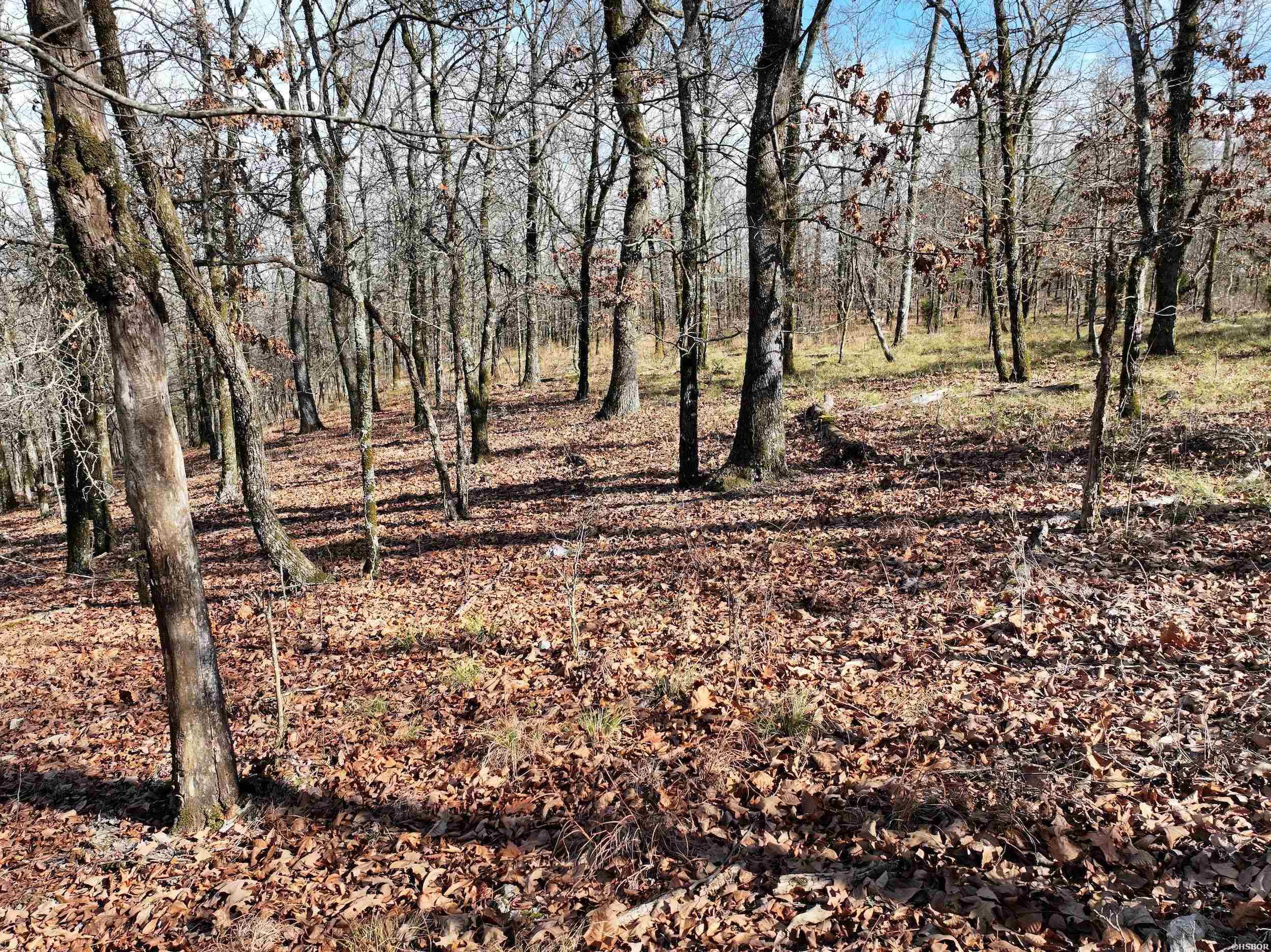 3373 Hwy 347 Property Photo 7