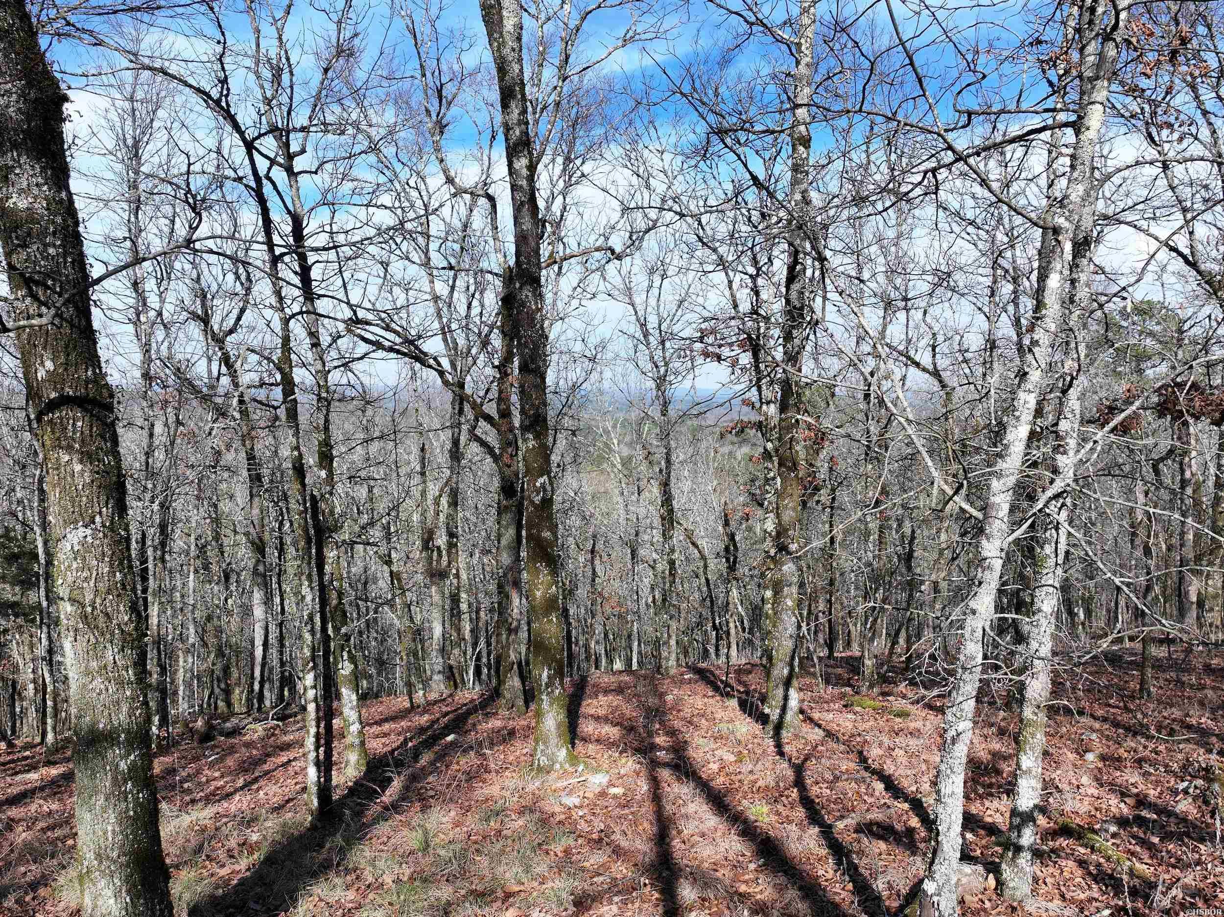 3373 Hwy 347 Property Photo 8