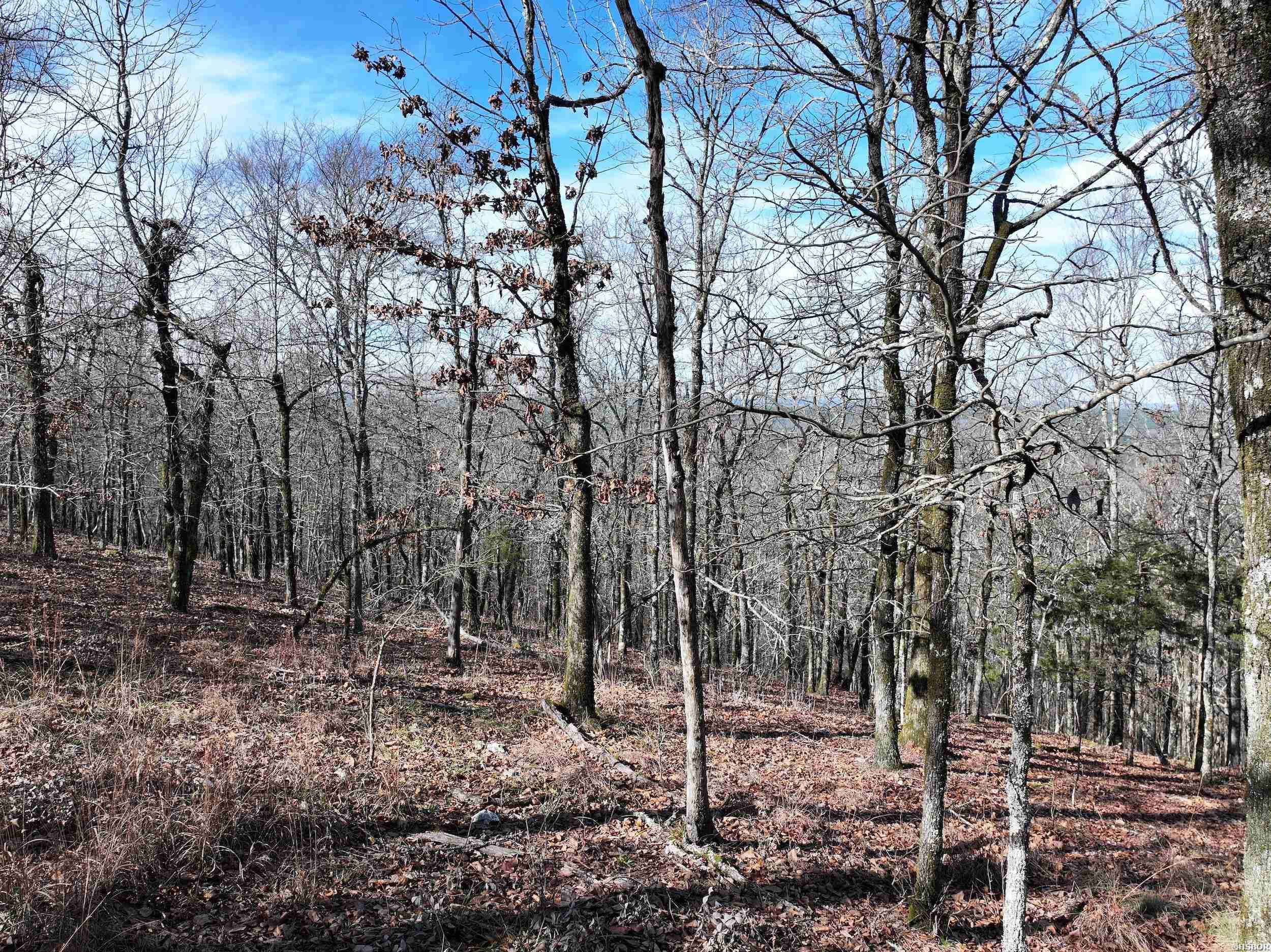 3373 Hwy 347 Property Photo 9
