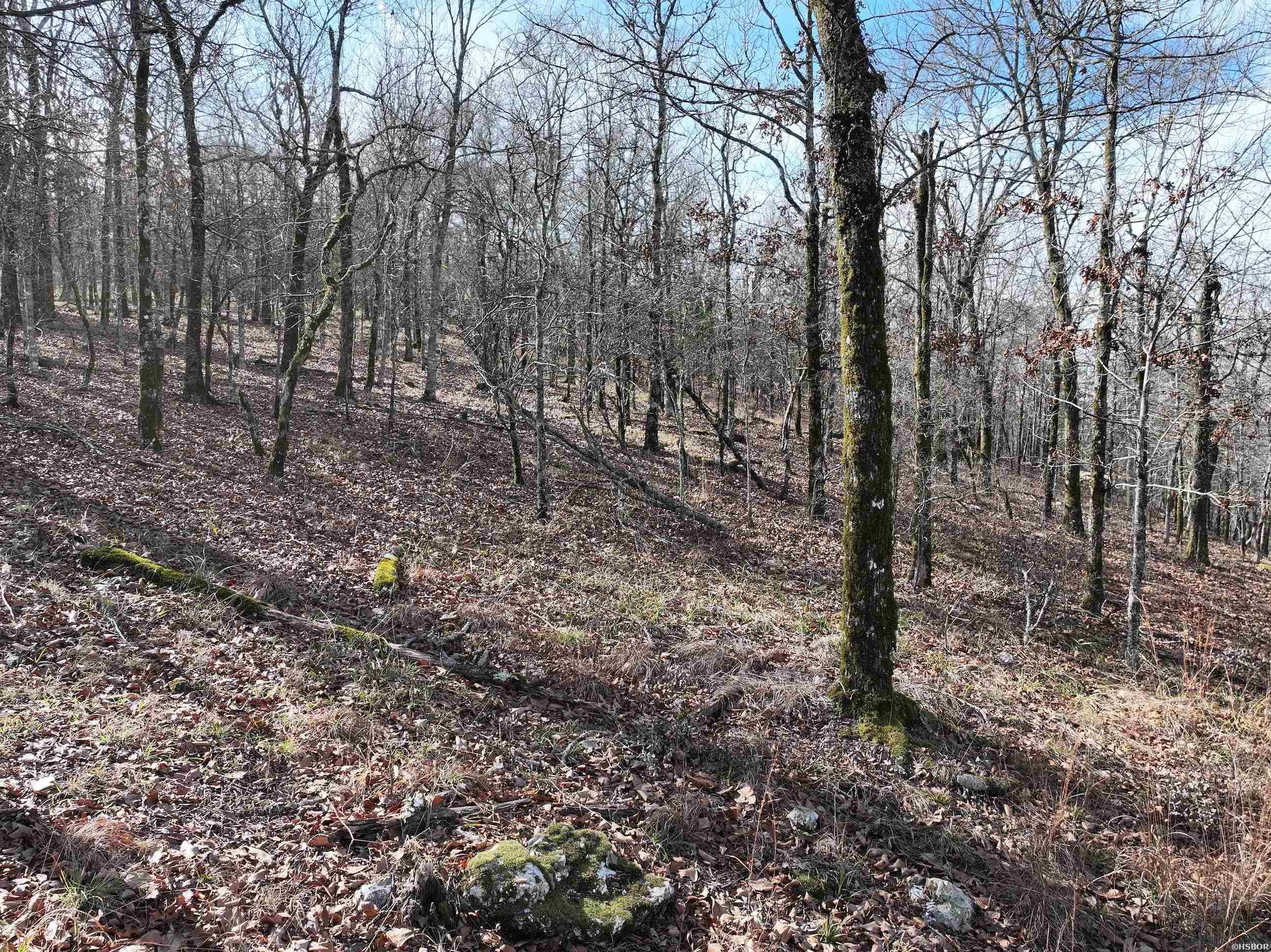 3373 Hwy 347 Property Photo 10