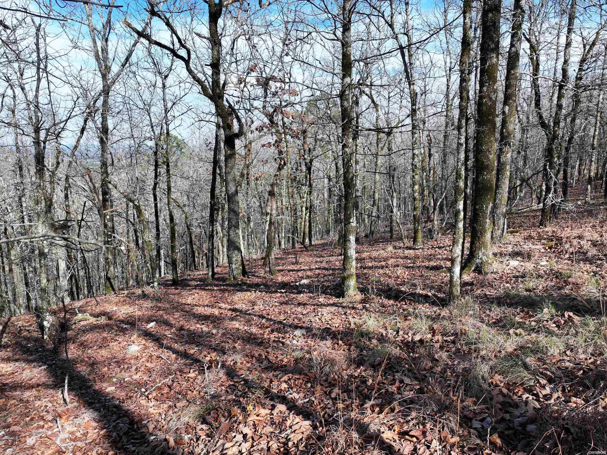 3373 Hwy 347 Property Photo 12