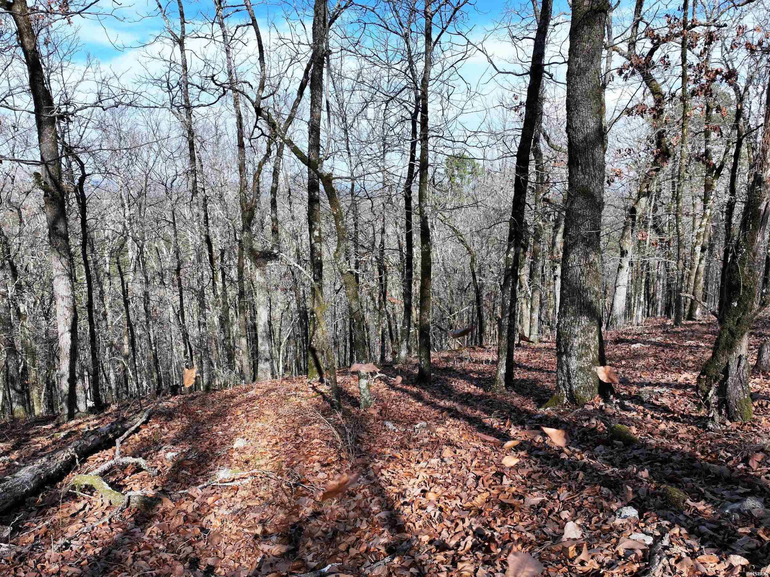 3373 Hwy 347 Property Photo 13