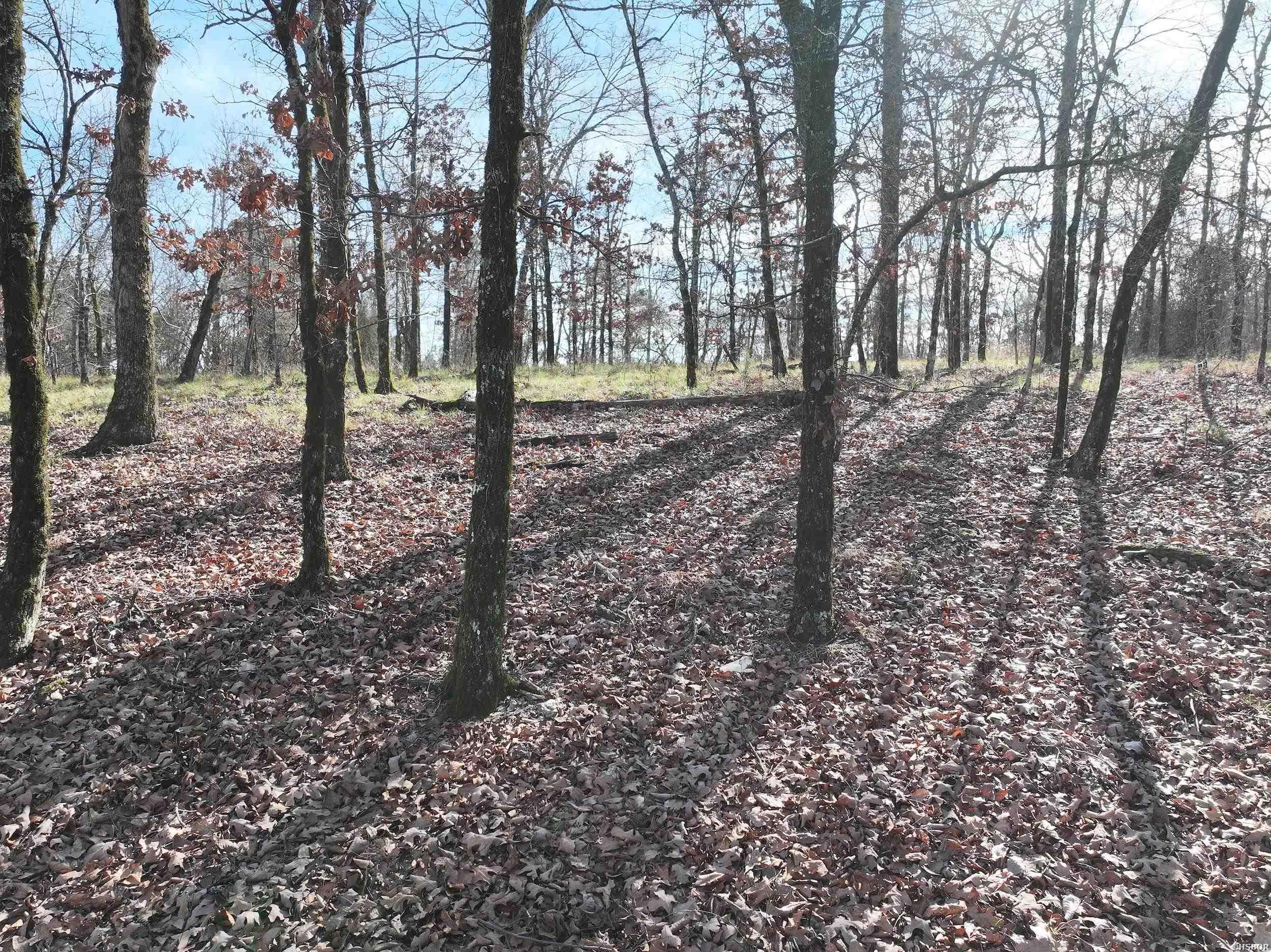 3373 Hwy 347 Property Photo 14