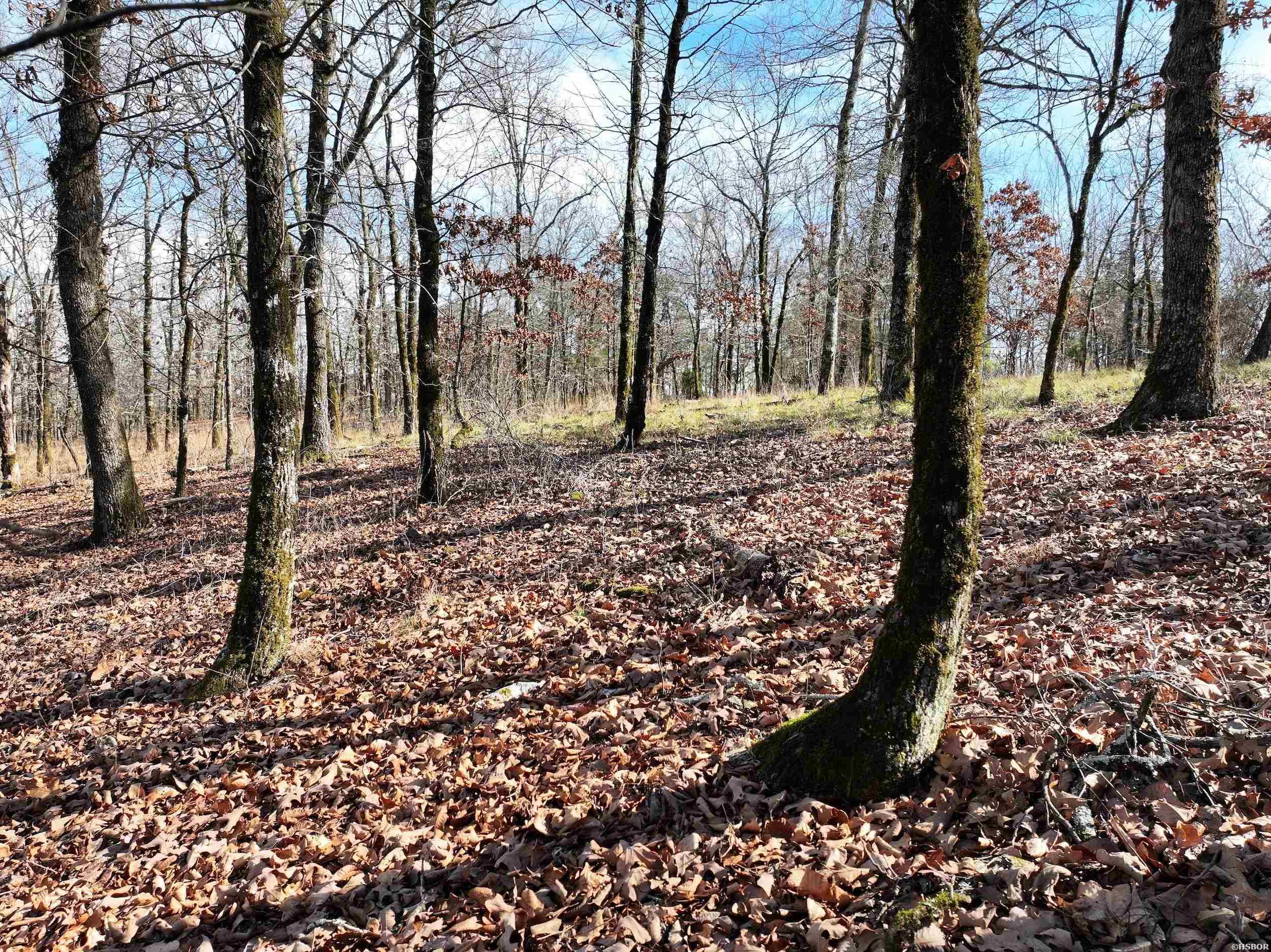 3373 Hwy 347 Property Photo 15