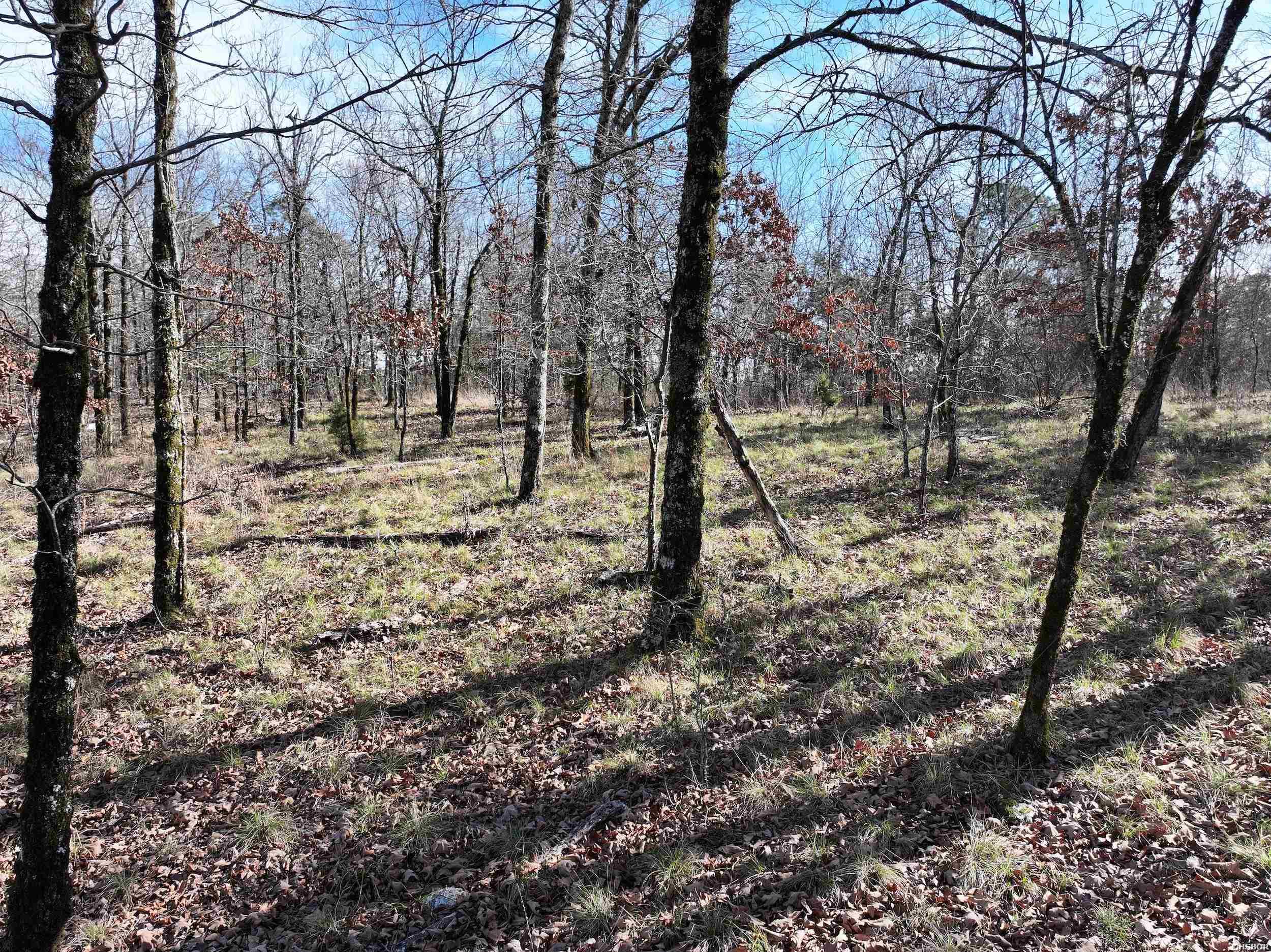 3373 Hwy 347 Property Photo 16