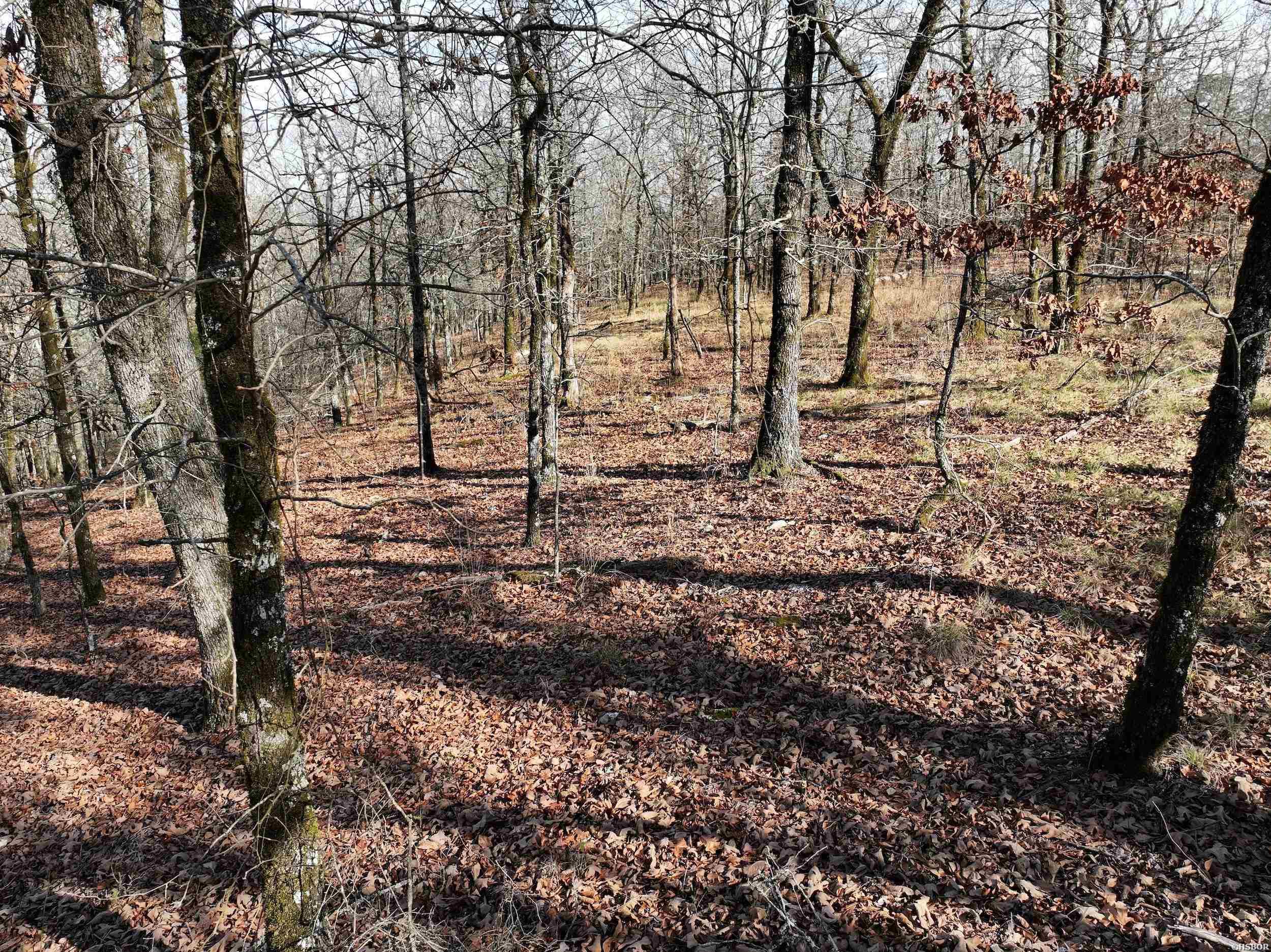 3373 Hwy 347 Property Photo 17