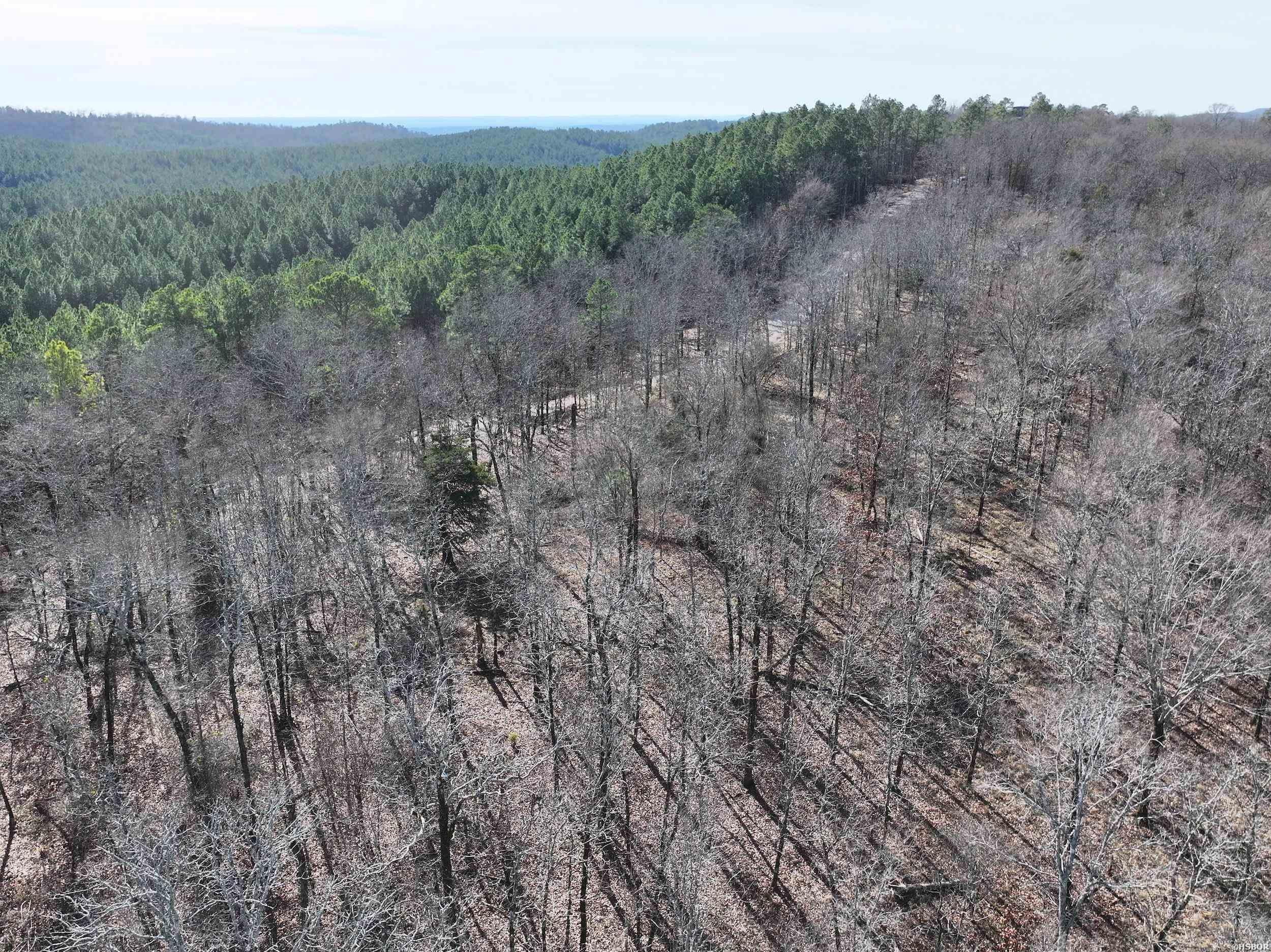 3373 Hwy 347 Property Photo 18